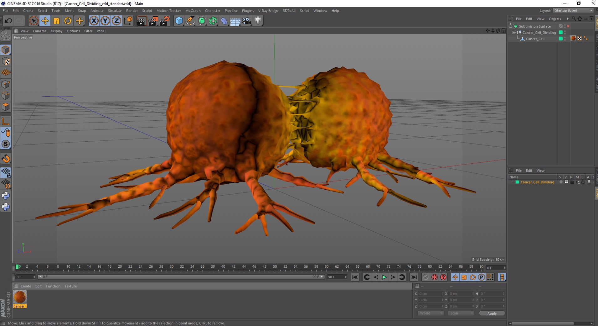 3D model Cancer Cell Dividing
