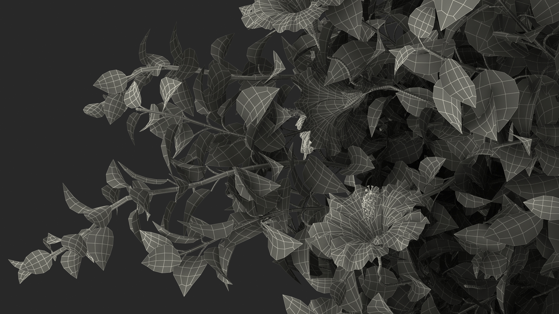 Flowering Hibiscus Bush Red 3D