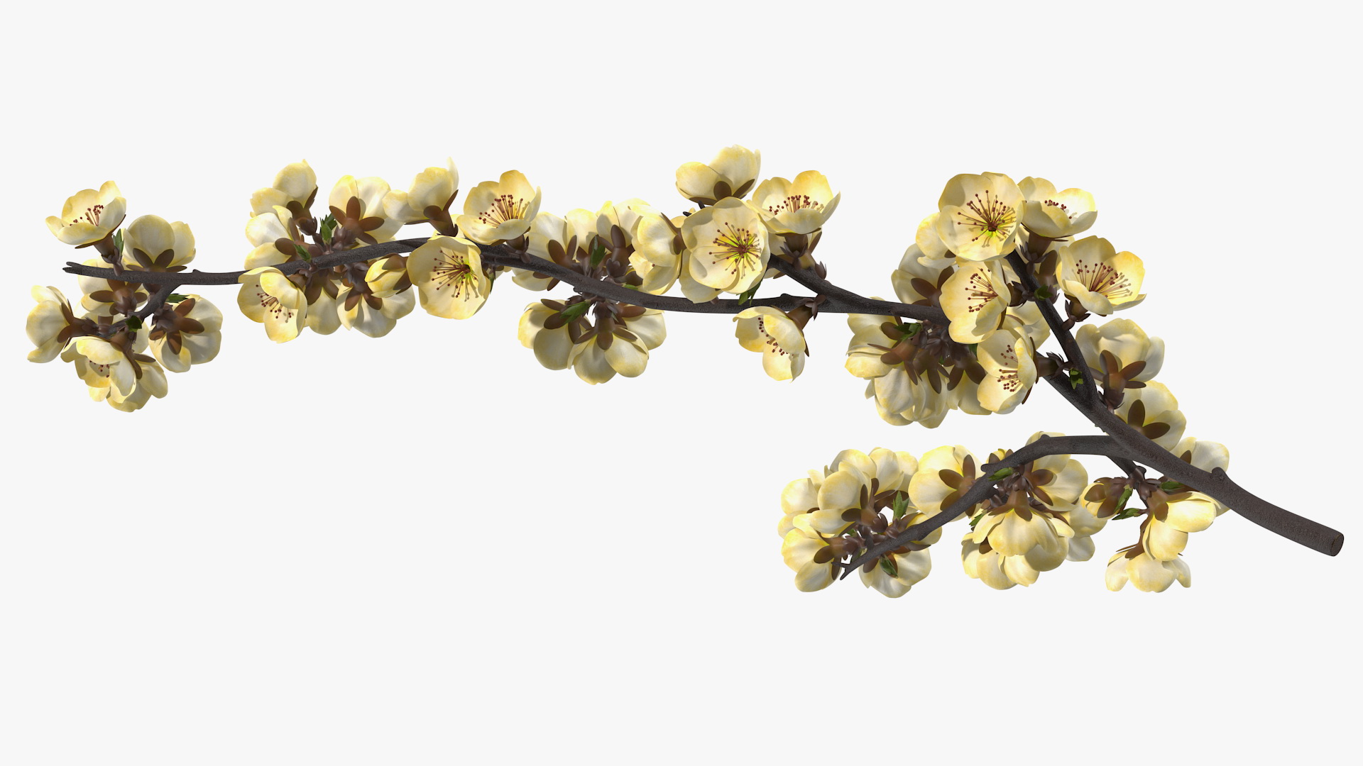 3D Tree Branch with Yellow Flowers
