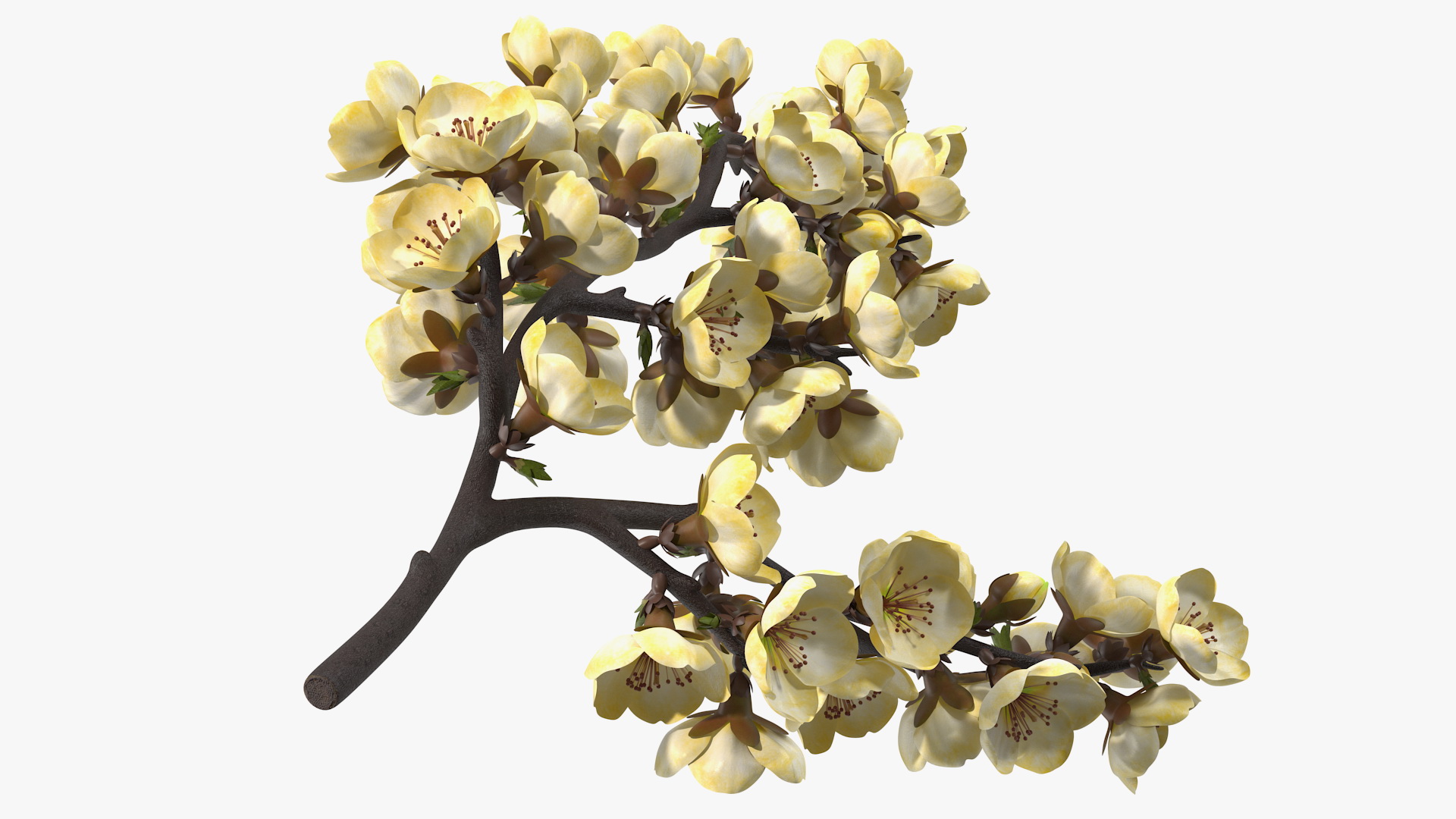 3D Tree Branch with Yellow Flowers