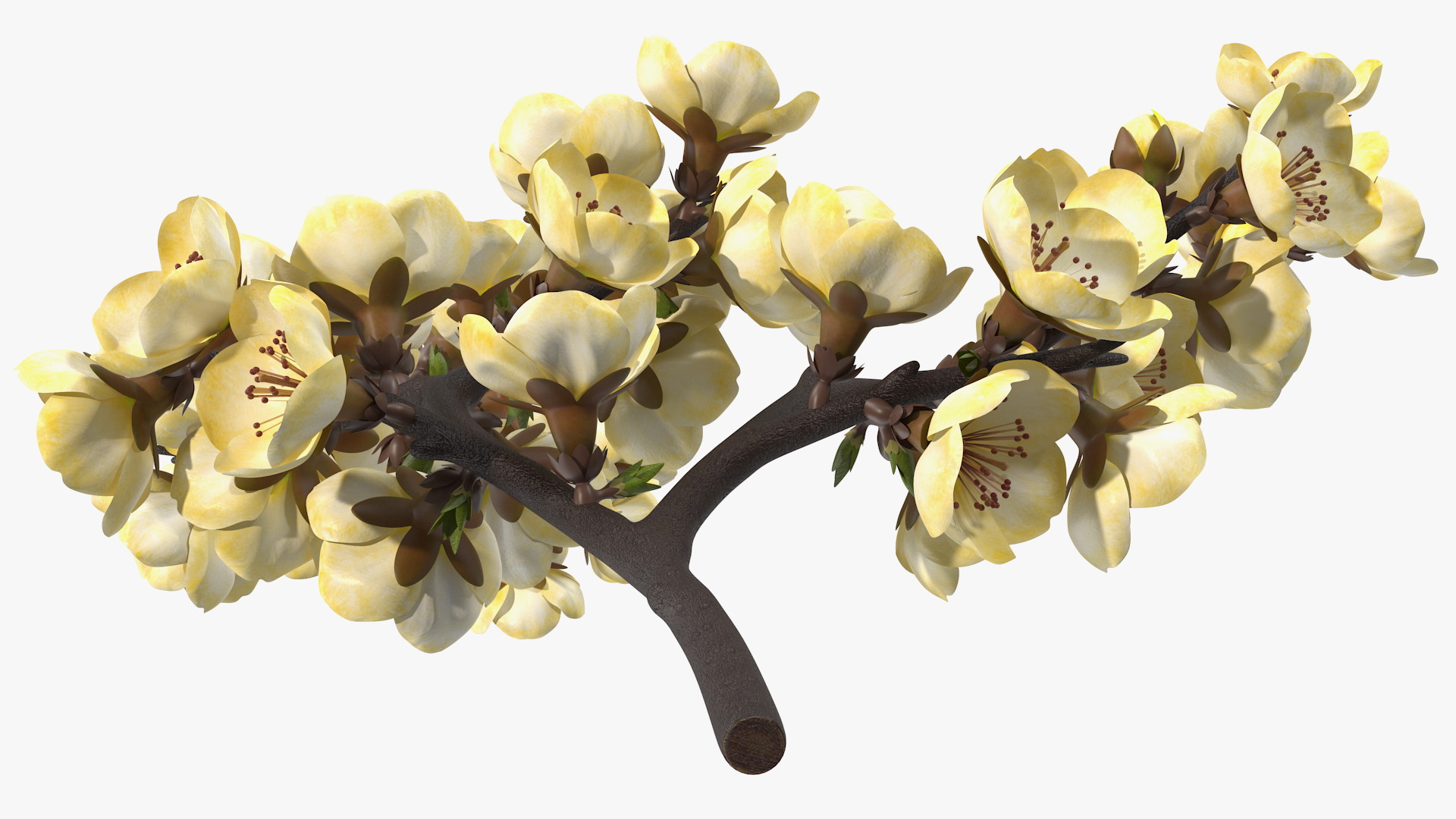 3D Tree Branch with Yellow Flowers