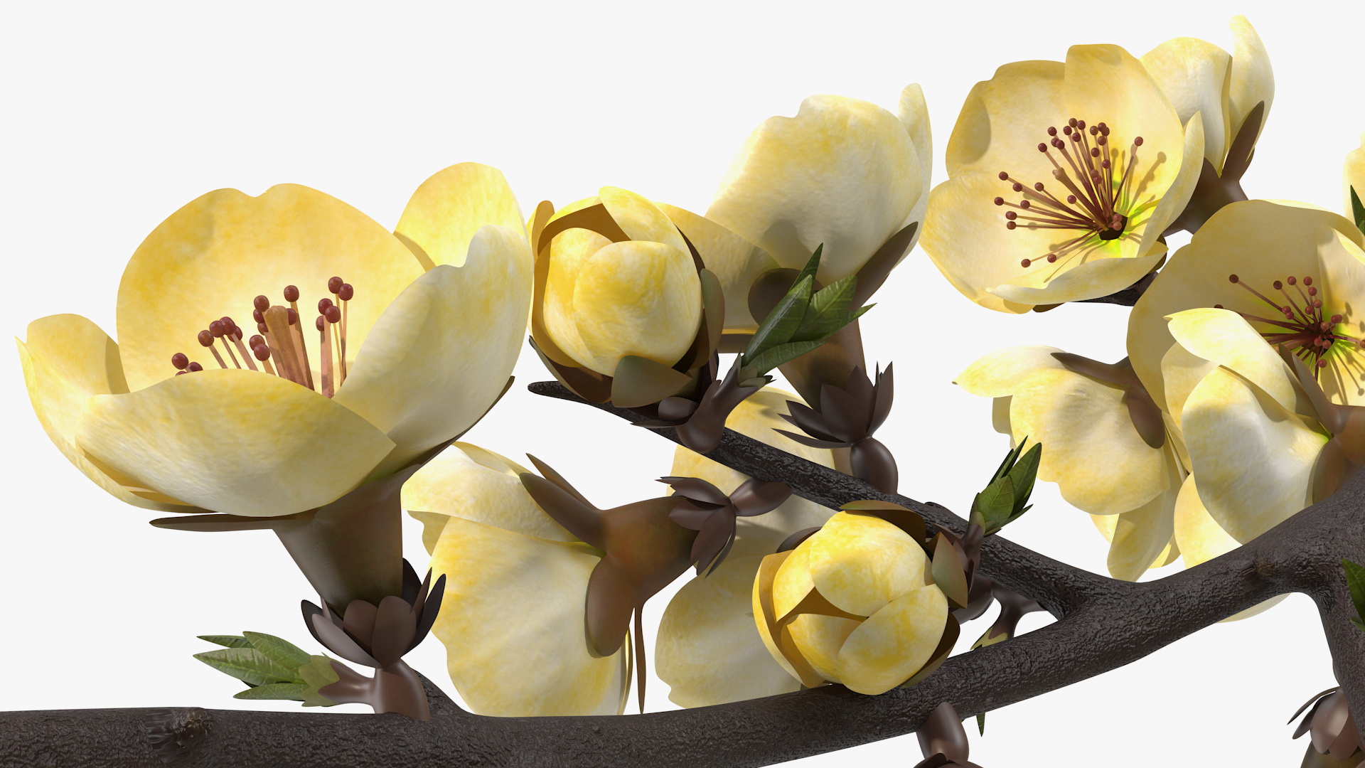 3D Tree Branch with Yellow Flowers