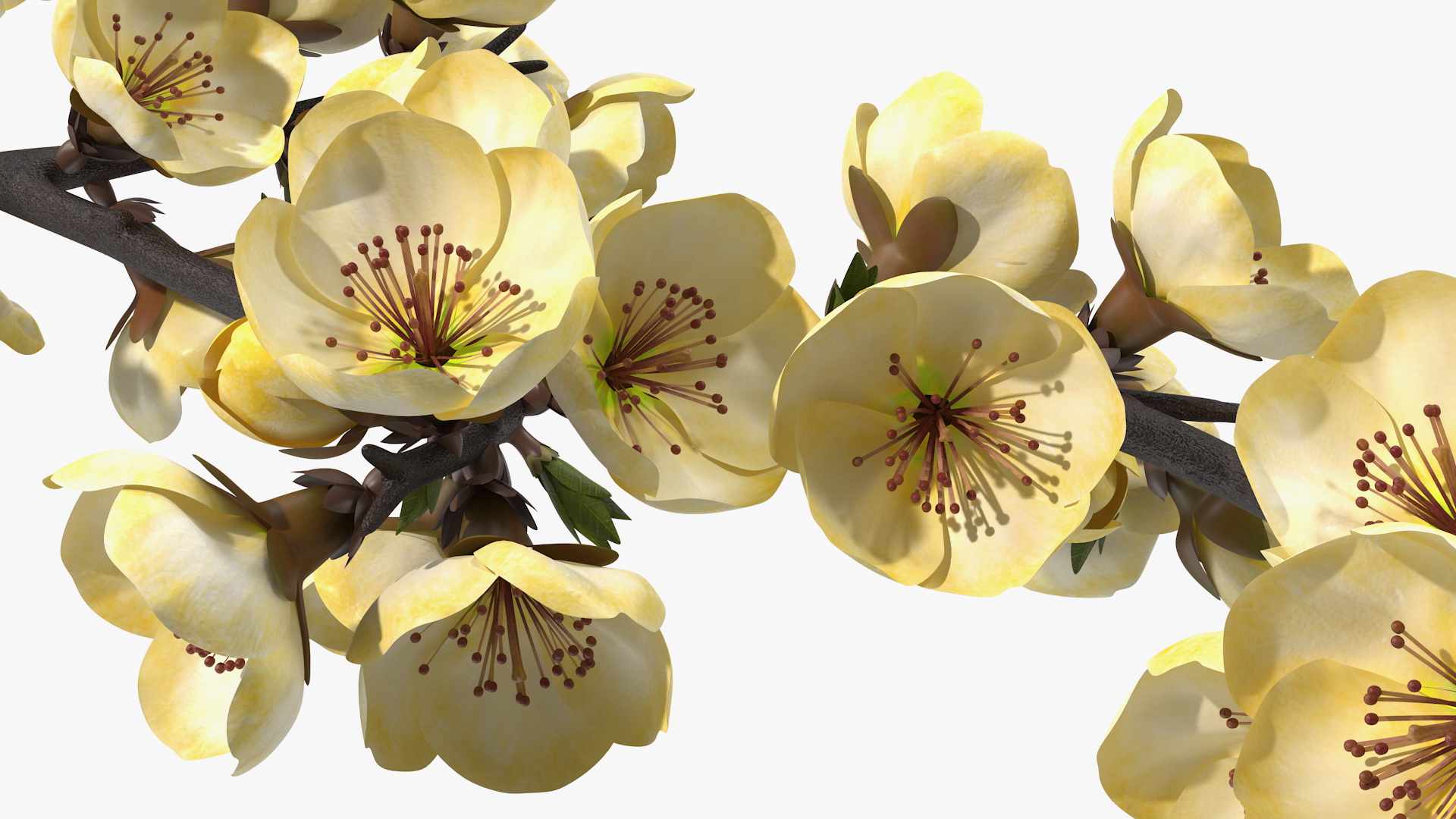 3D Tree Branch with Yellow Flowers
