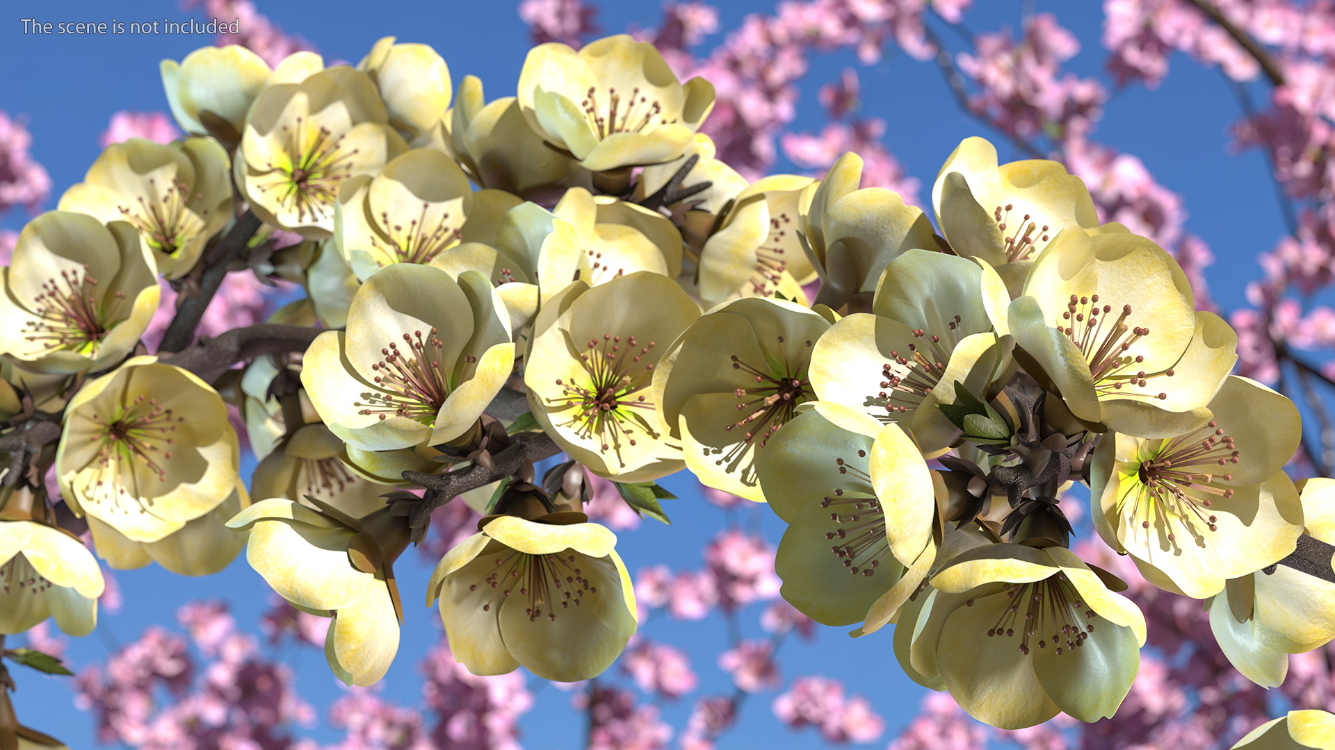 3D Tree Branch with Yellow Flowers