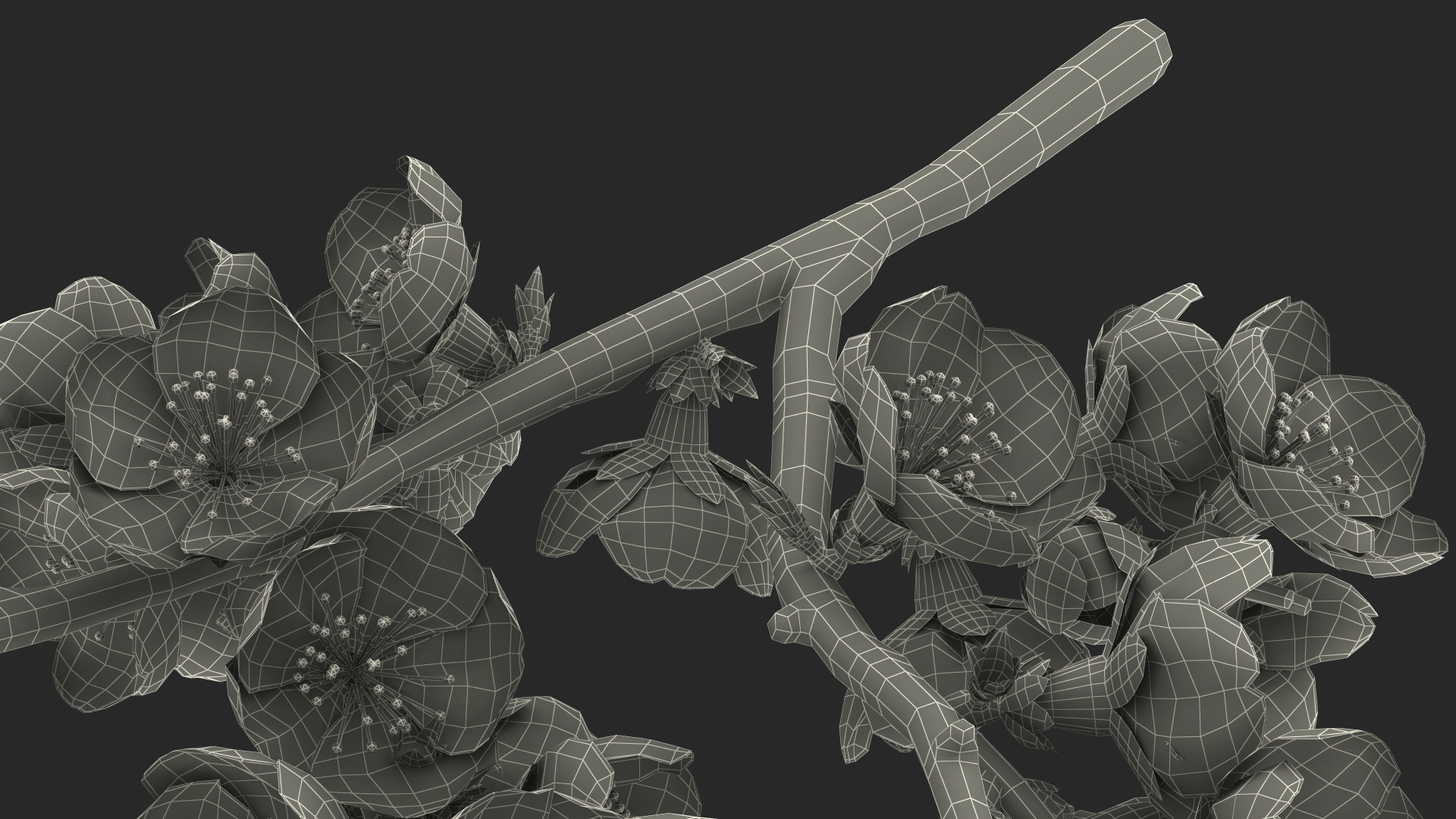 3D Tree Branch with Yellow Flowers