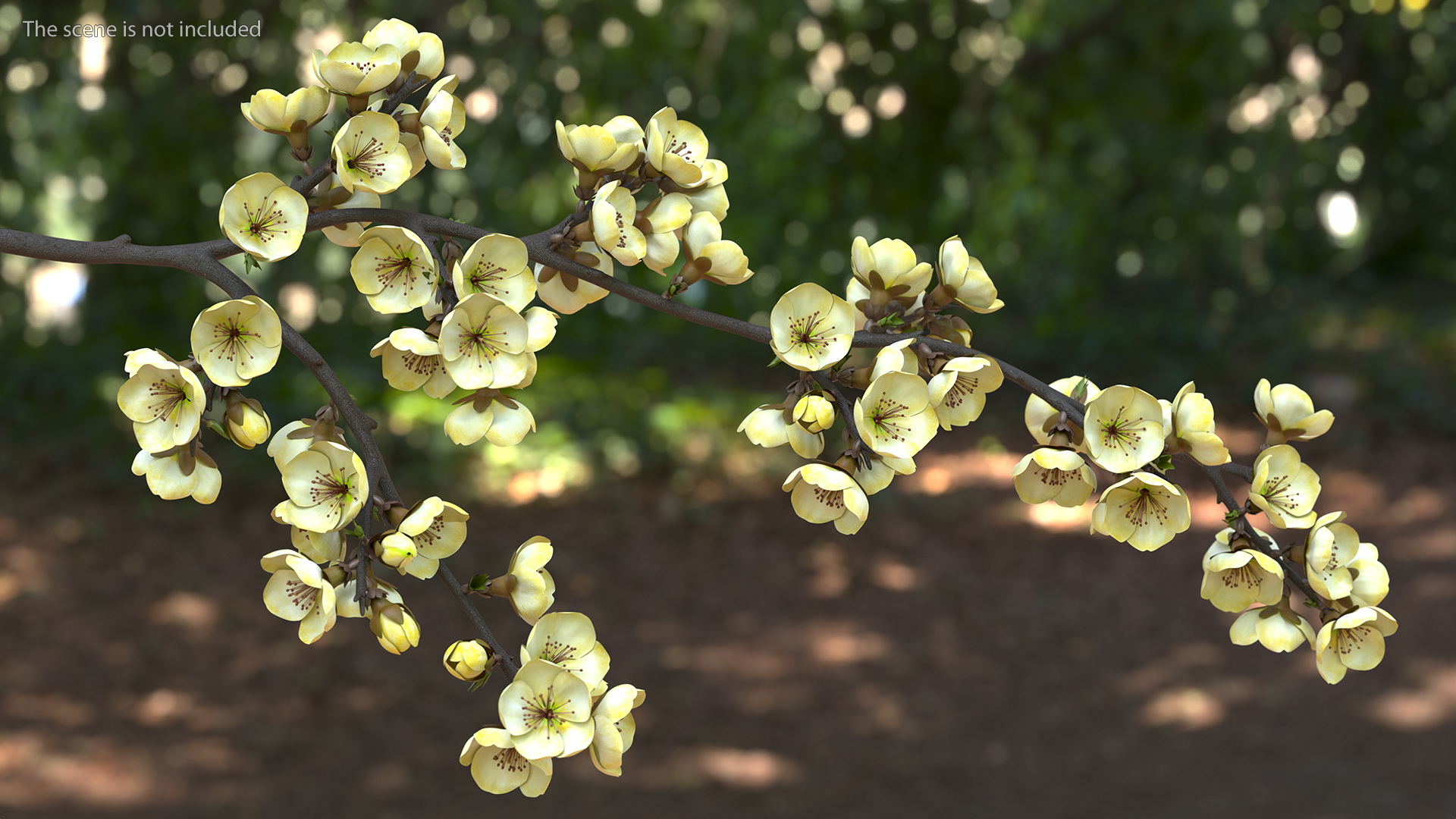 3D Tree Branch with Yellow Flowers