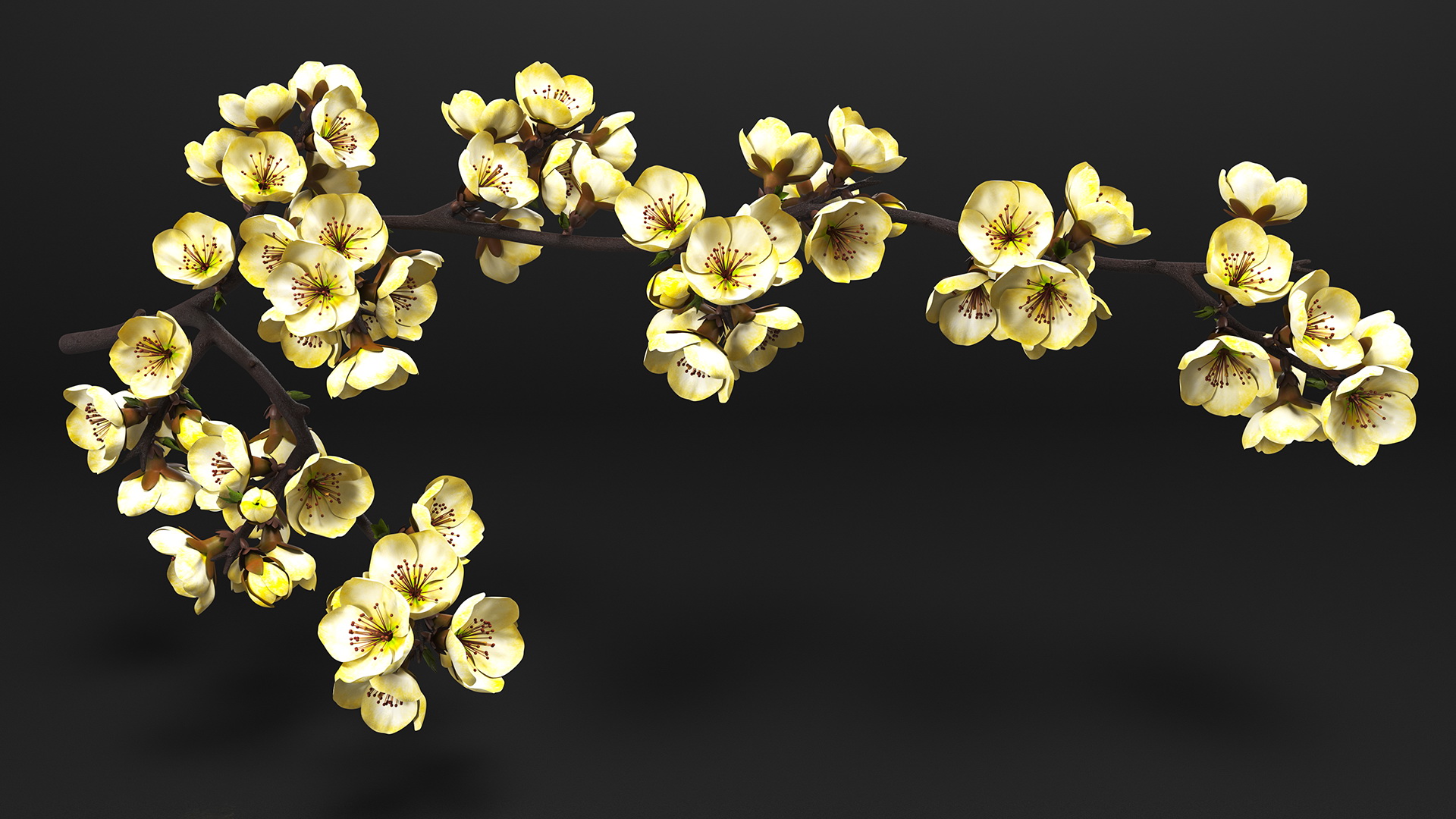 3D Tree Branch with Yellow Flowers
