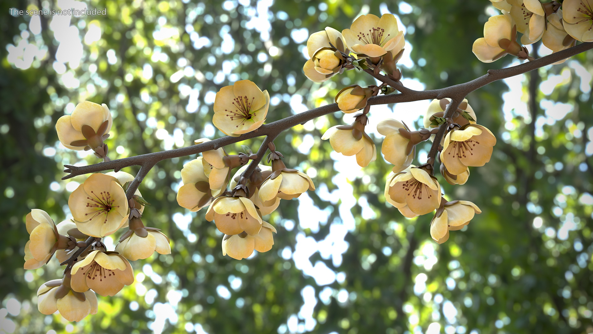 3D Tree Branch with Yellow Flowers