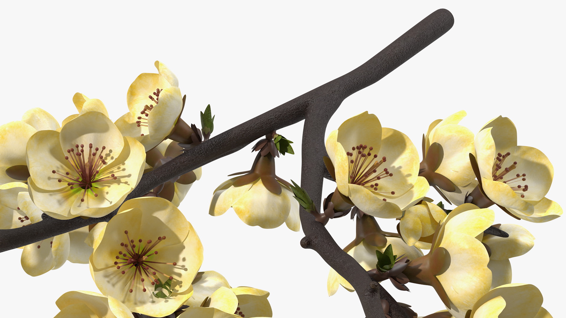 3D Tree Branch with Yellow Flowers
