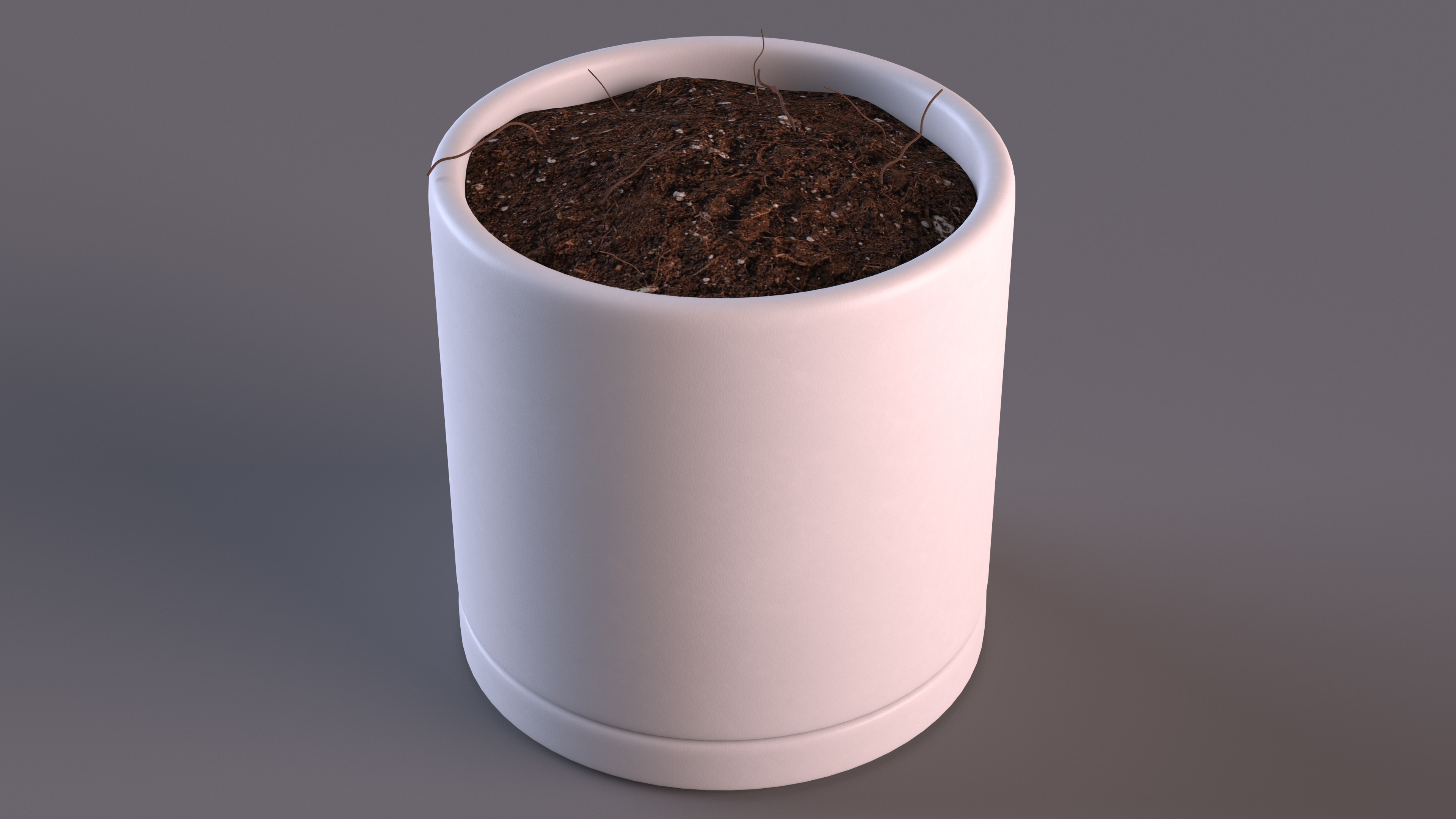 3D White Flower Pot with Soil