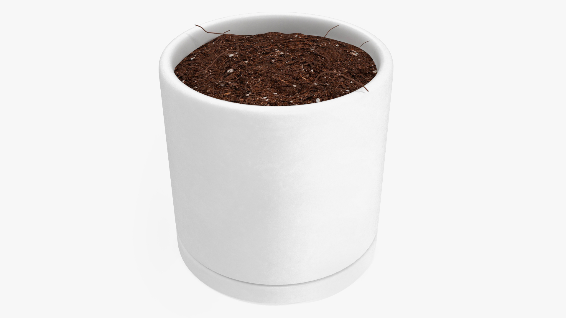 3D White Flower Pot with Soil