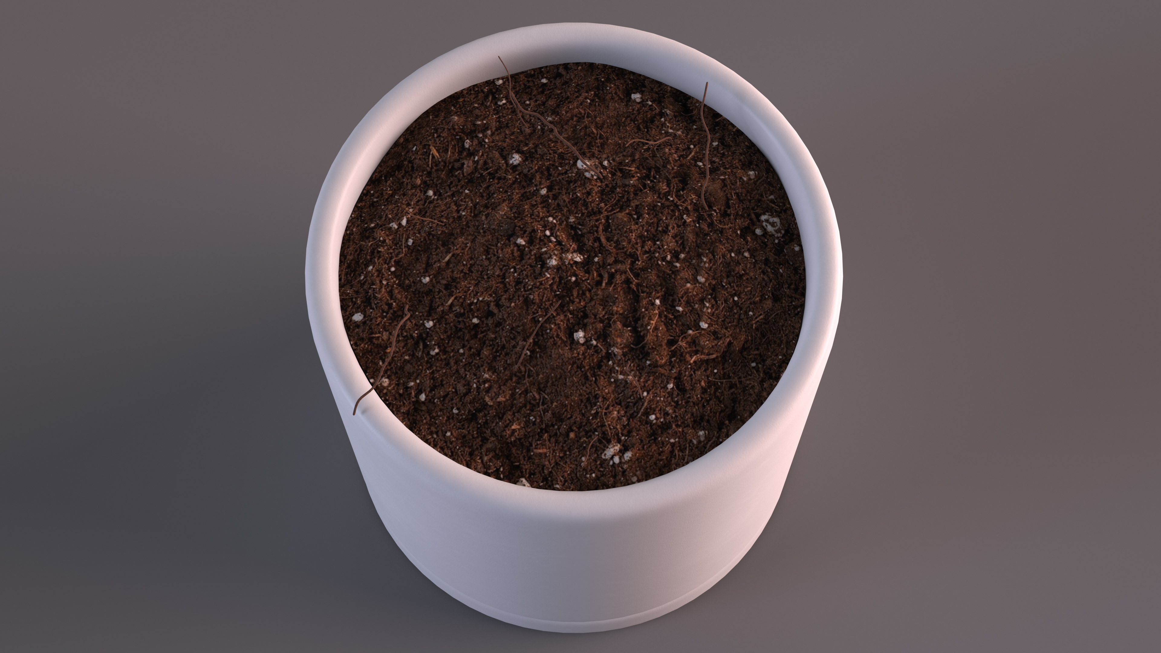 3D White Flower Pot with Soil