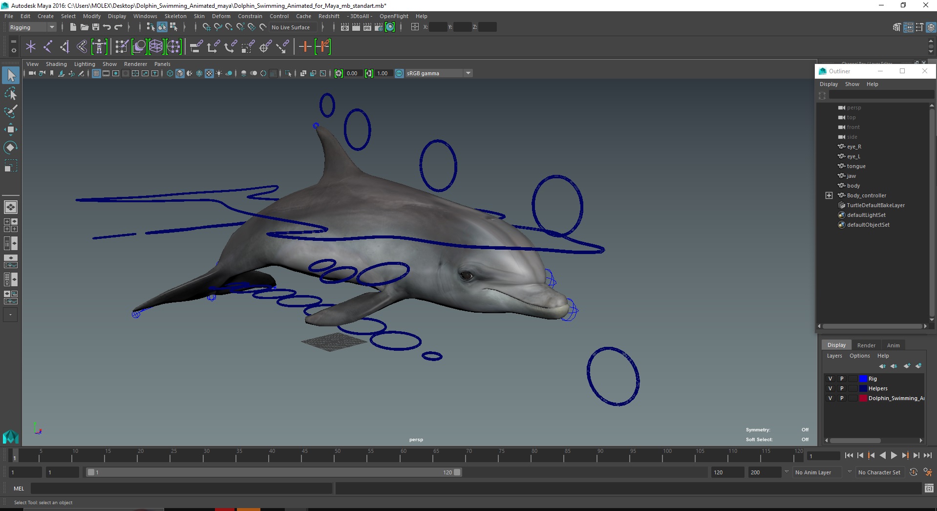 Dolphin Swimming Animated for Maya 3D model