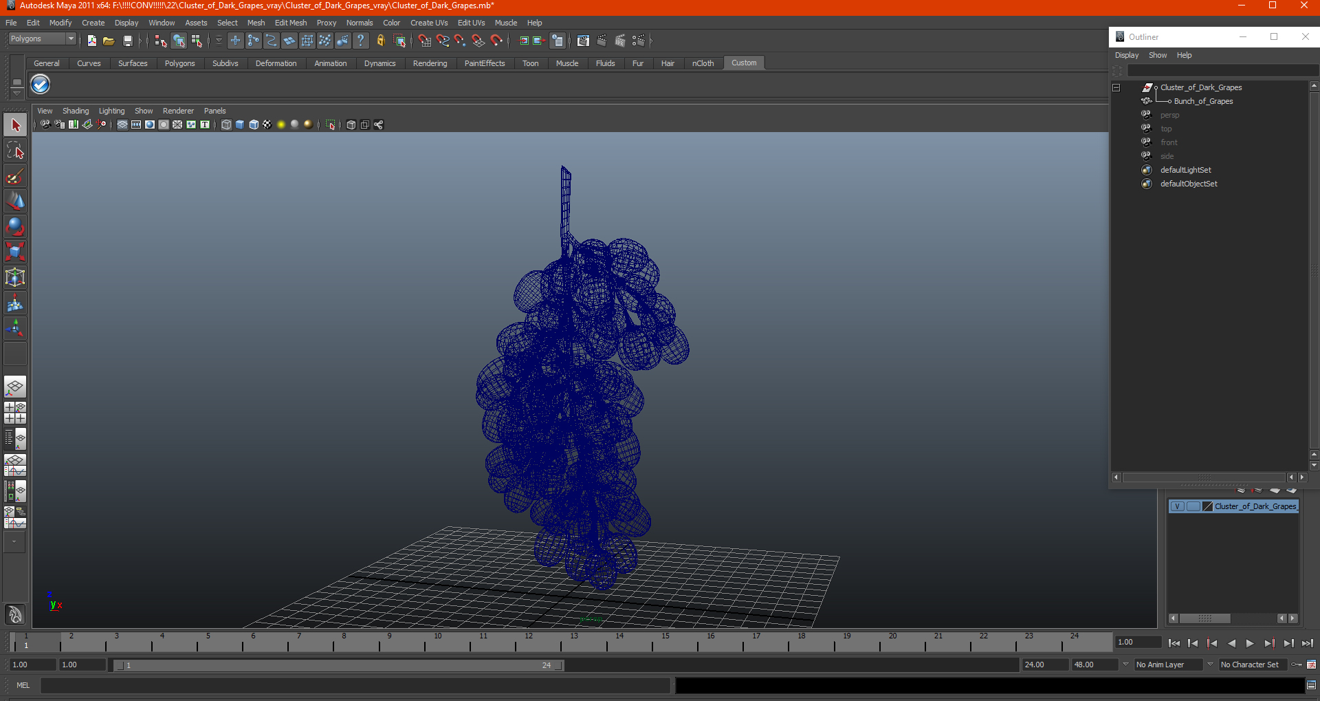 Cluster of Dark Grapes 3D