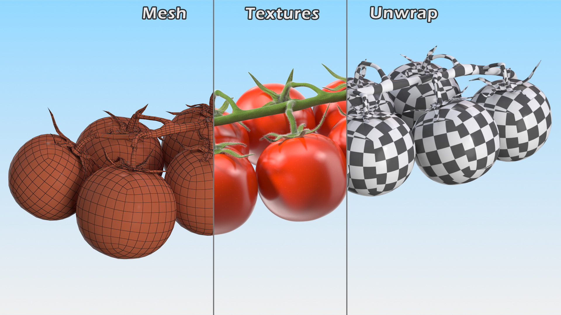 3D Cherry Tomatoes on the Vine Fur