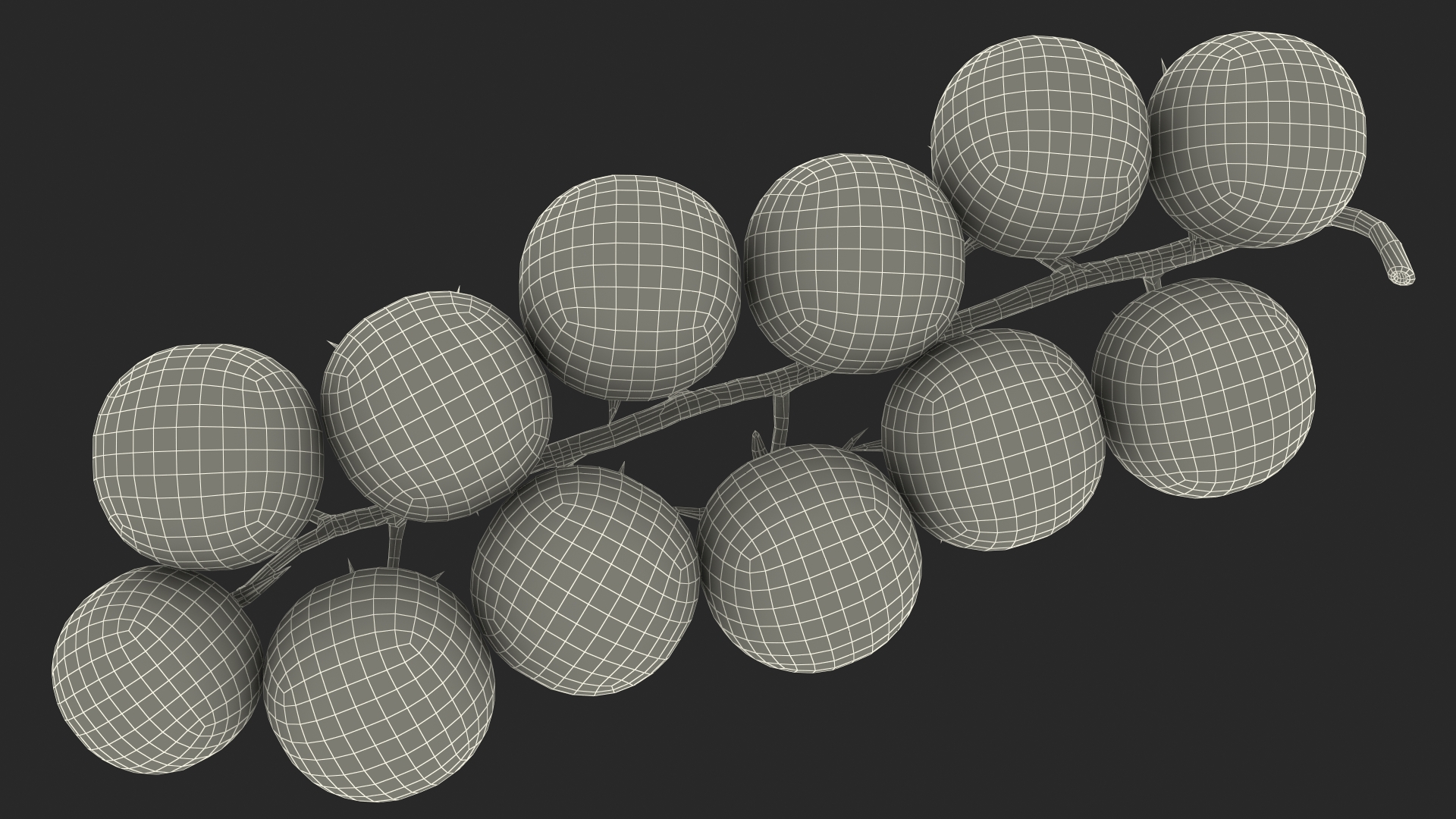 3D Cherry Tomatoes on the Vine Fur