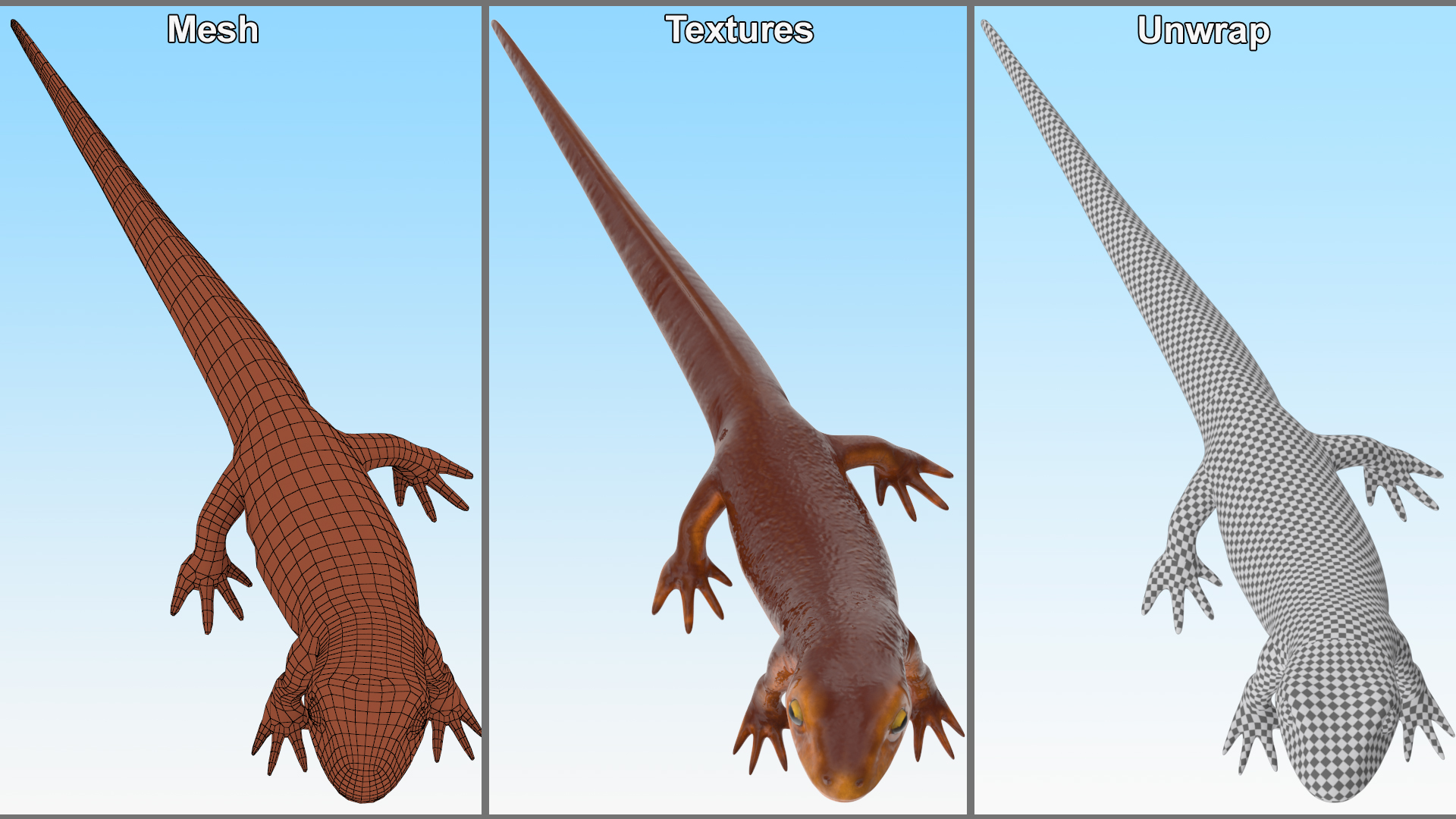 California Newt Standing Pose 3D model