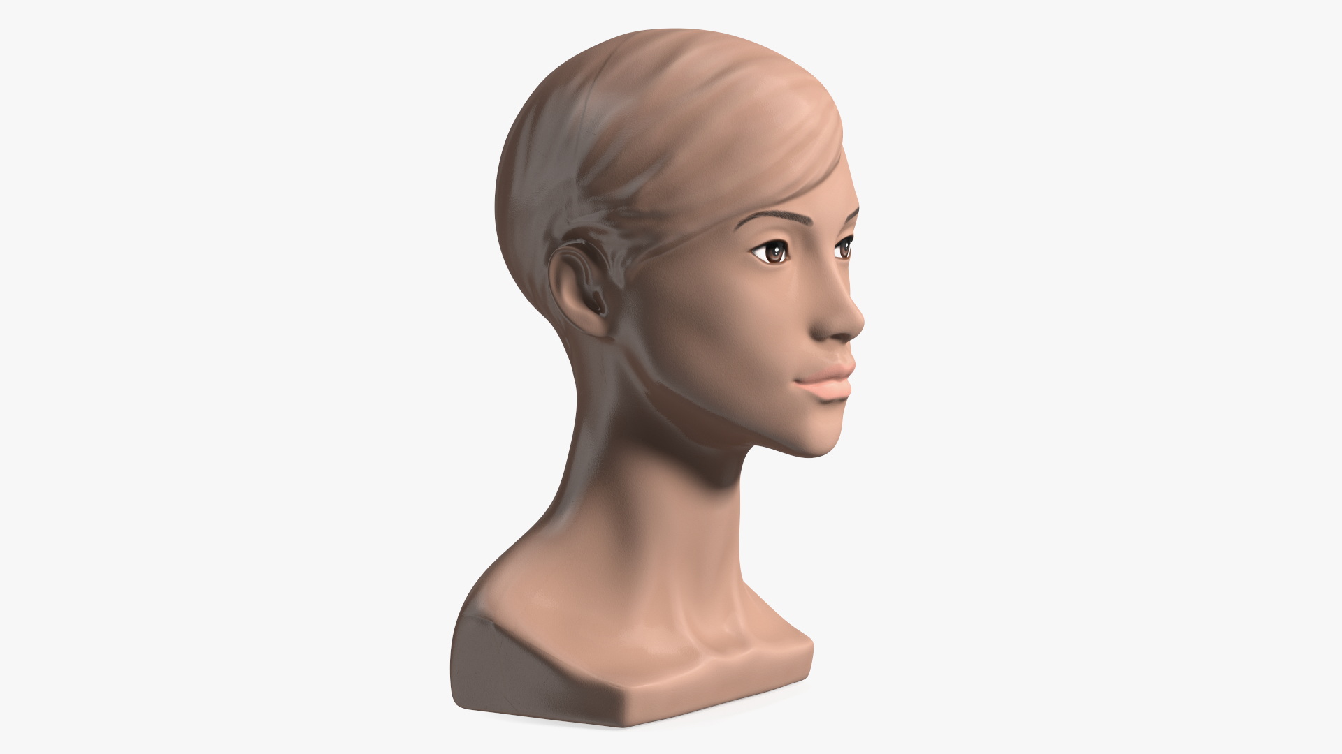 Plastic Female Mannequin Head with Hair 3D model