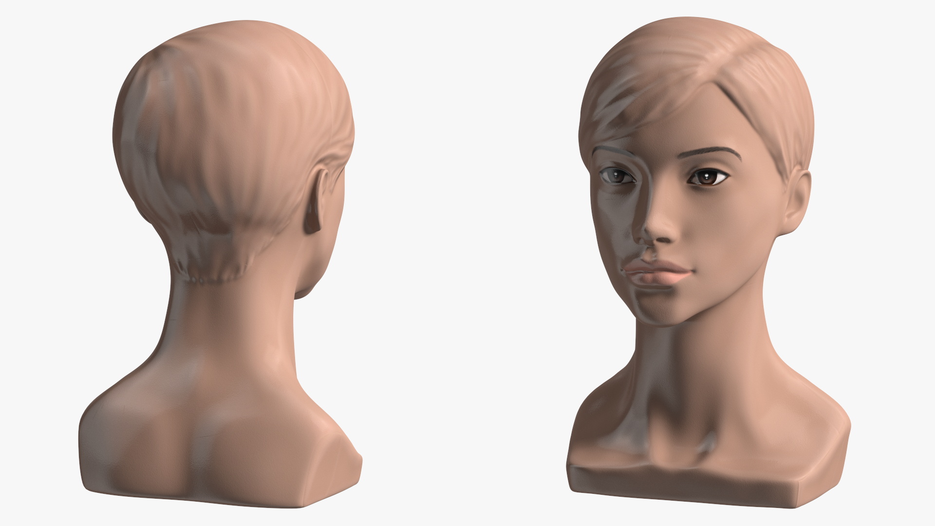 Plastic Female Mannequin Head with Hair 3D model