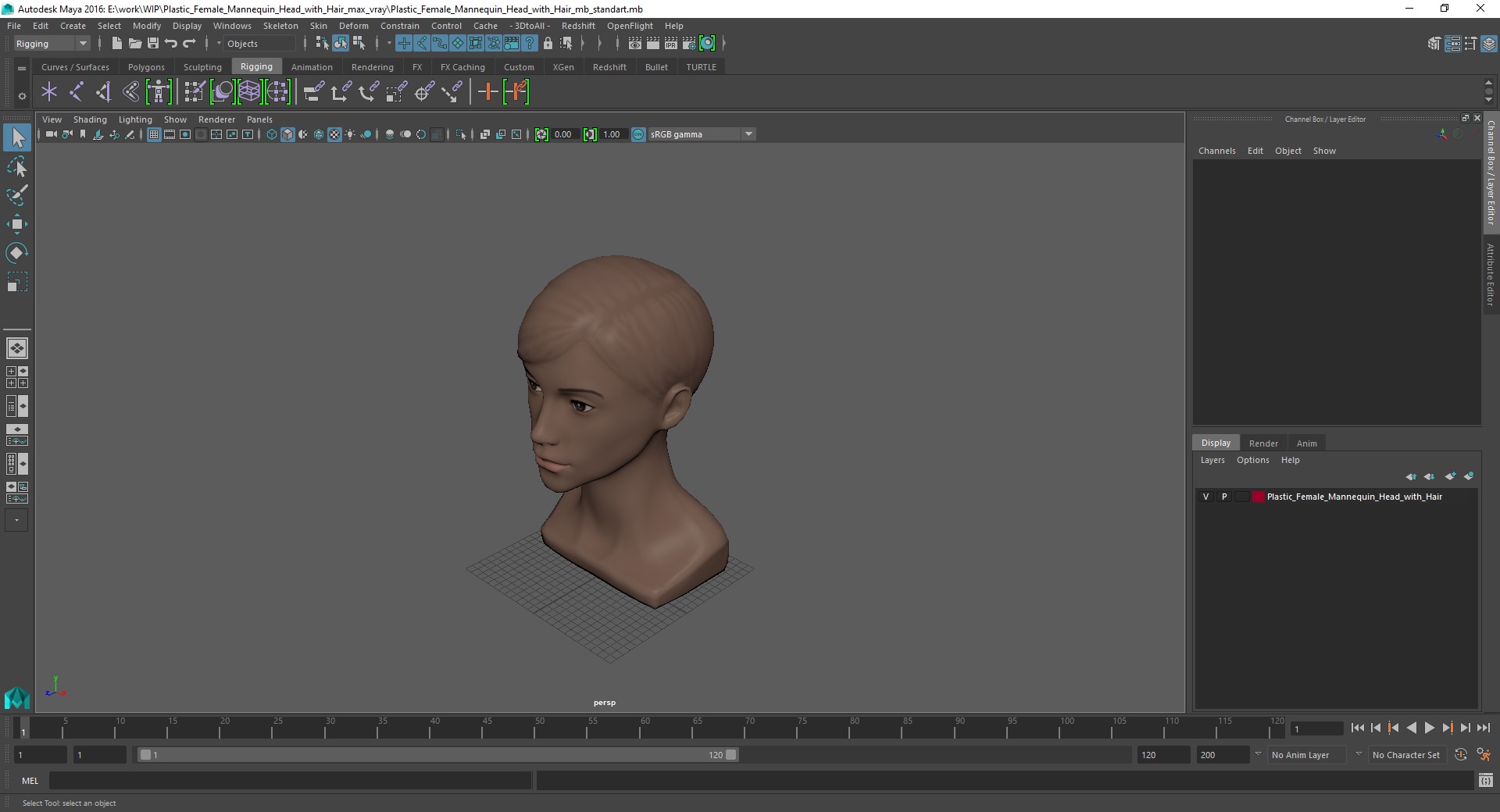 Plastic Female Mannequin Head with Hair 3D model