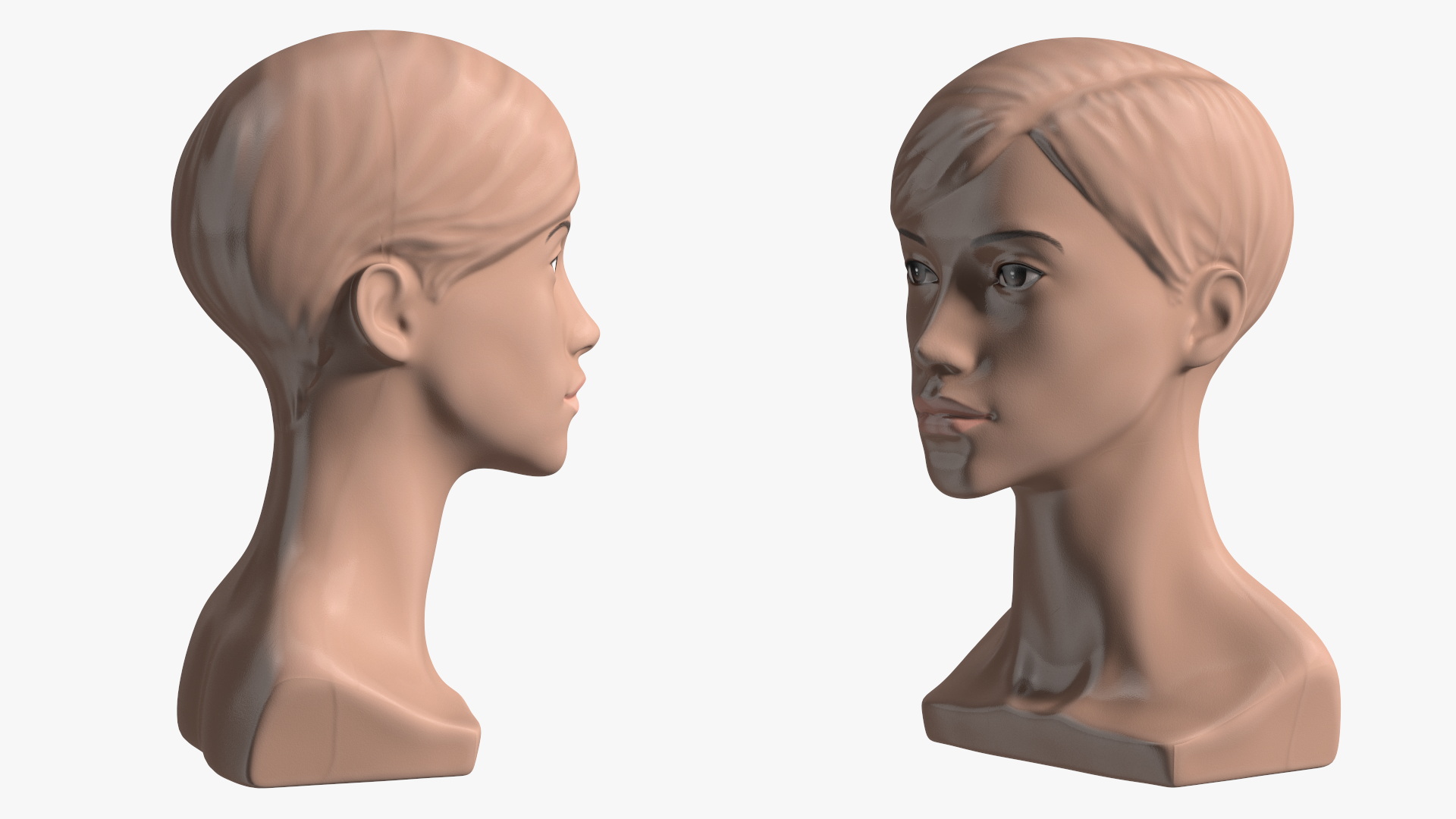 Plastic Female Mannequin Head with Hair 3D model