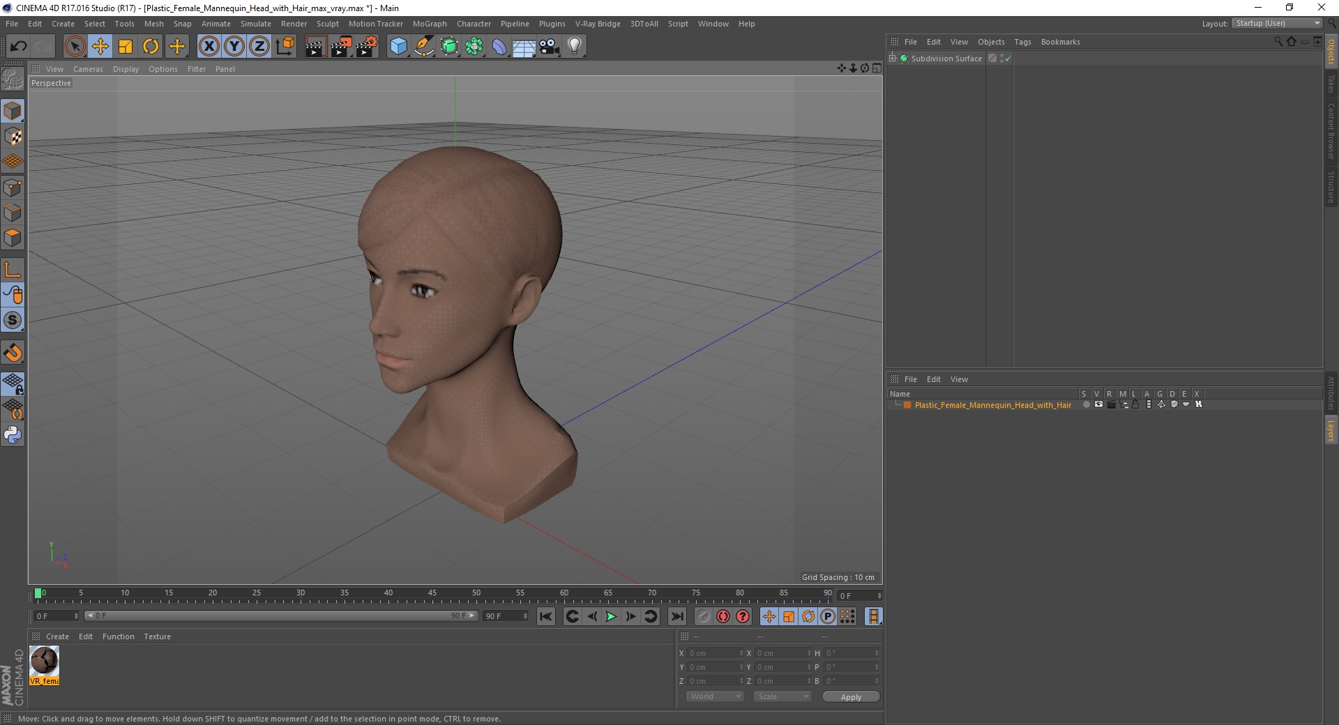 Plastic Female Mannequin Head with Hair 3D model