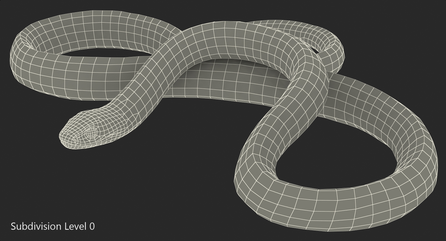 3D Coiled Black Snake model