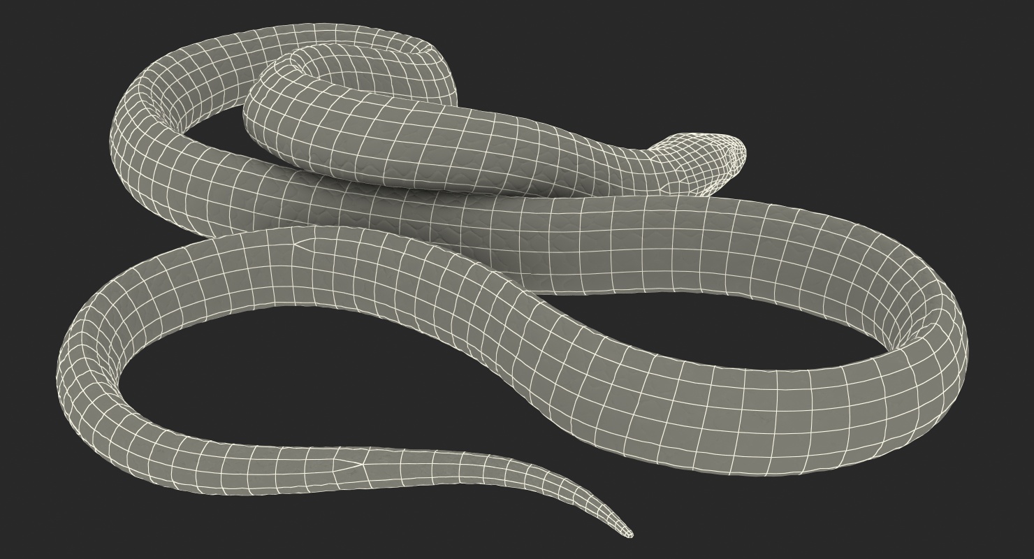 3D Coiled Black Snake model