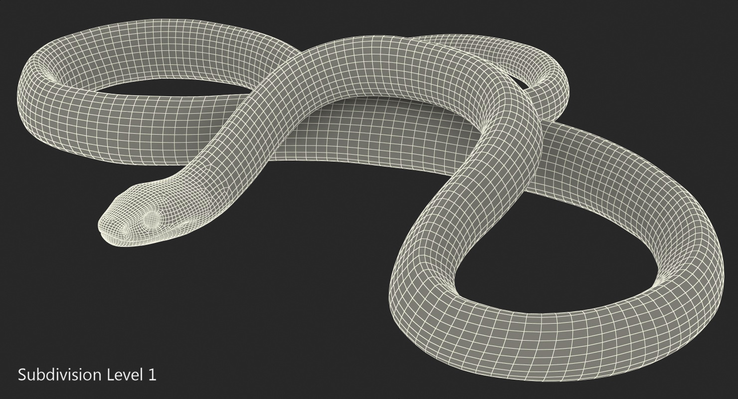 3D Coiled Black Snake model