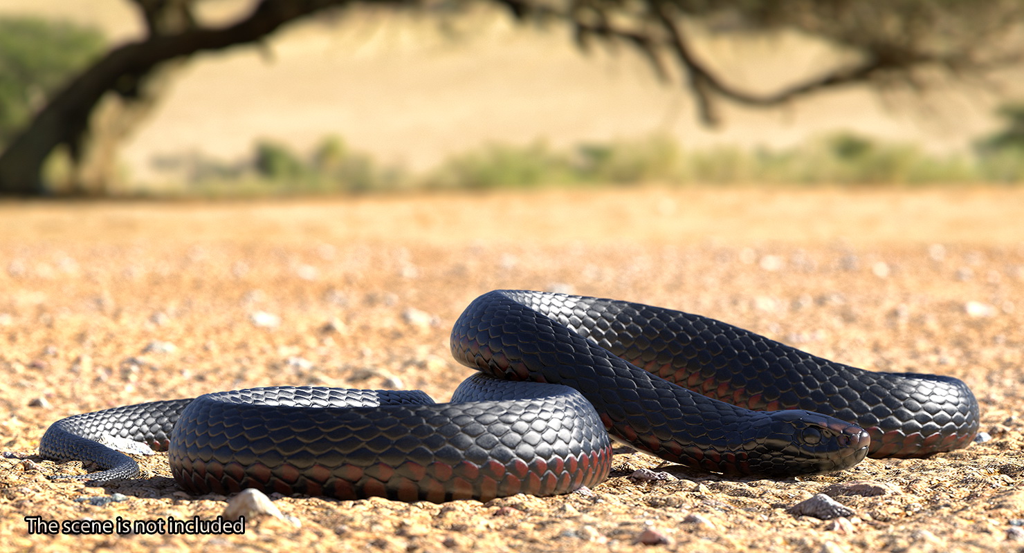 3D Coiled Black Snake model