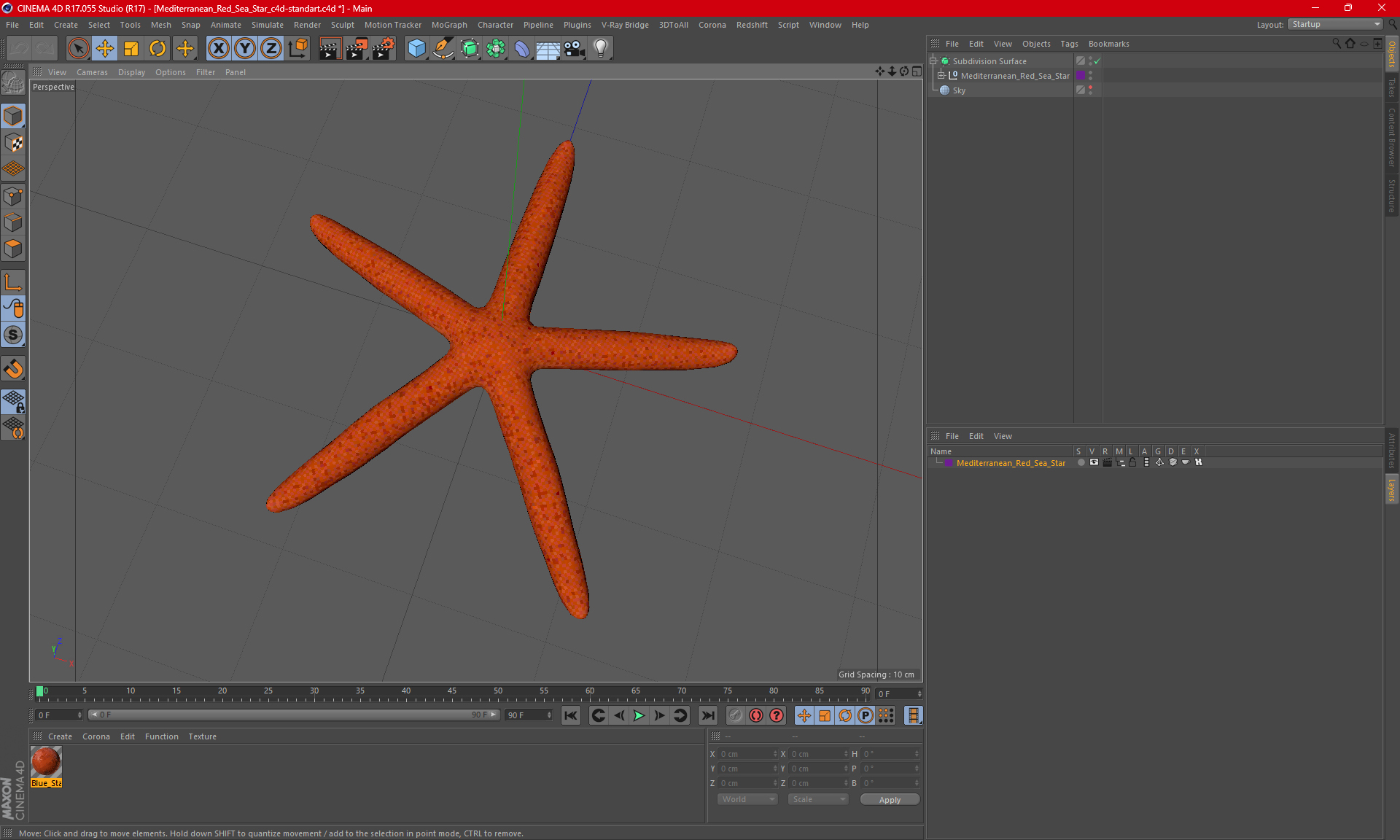 3D Mediterranean Red Sea Star