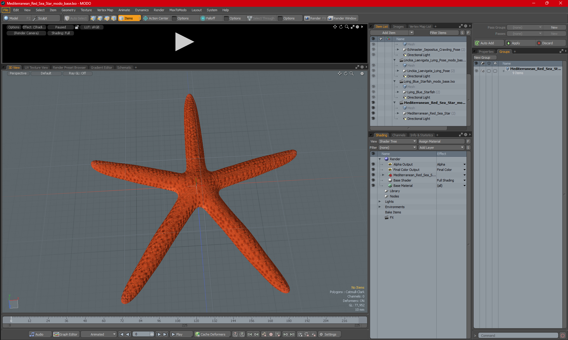 3D Mediterranean Red Sea Star