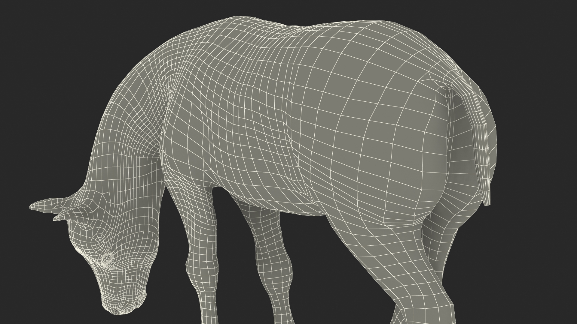 White Shetland Pony in Grazing Pose Fur 3D model