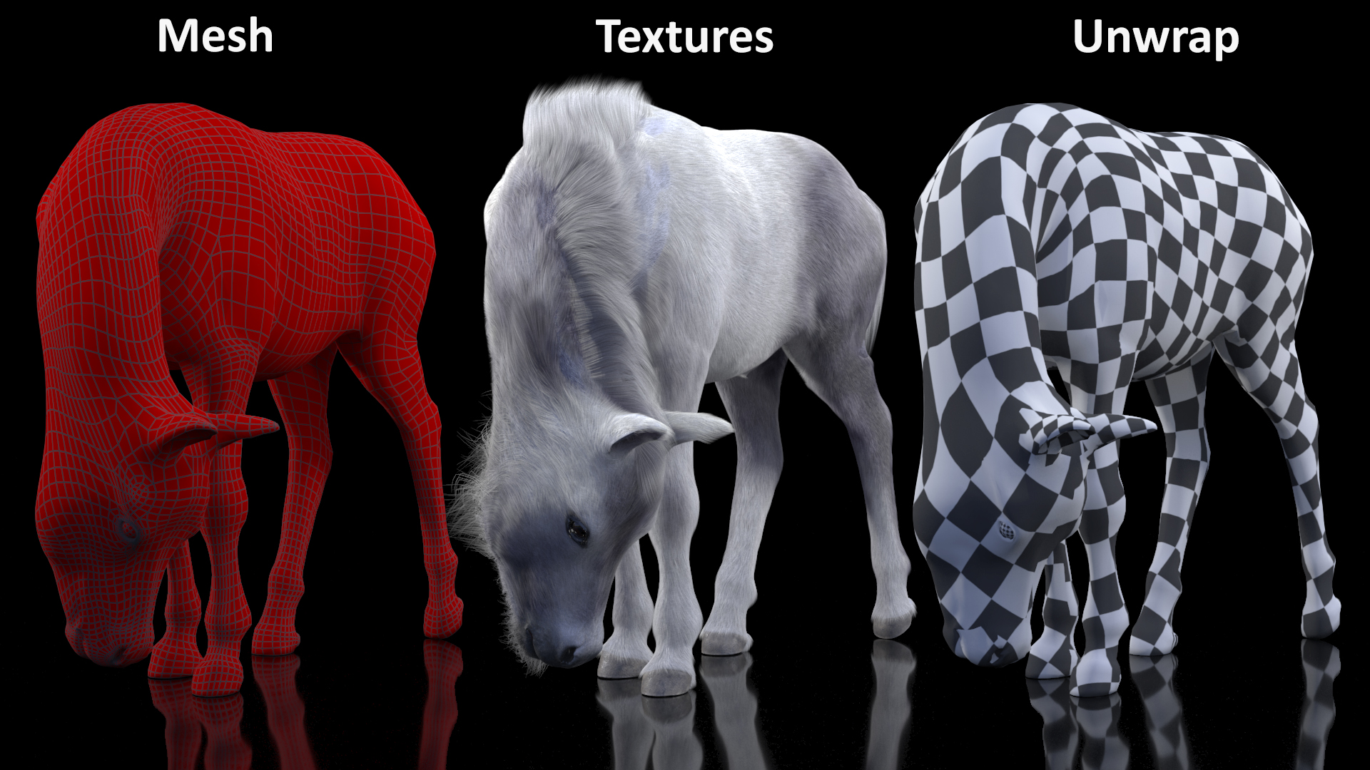 White Shetland Pony in Grazing Pose Fur 3D model