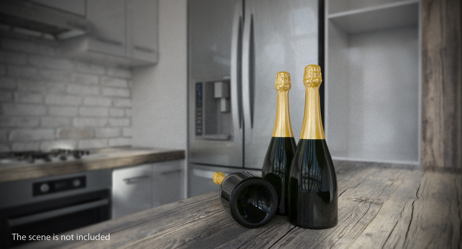 3D Closed Champagne Bottle model