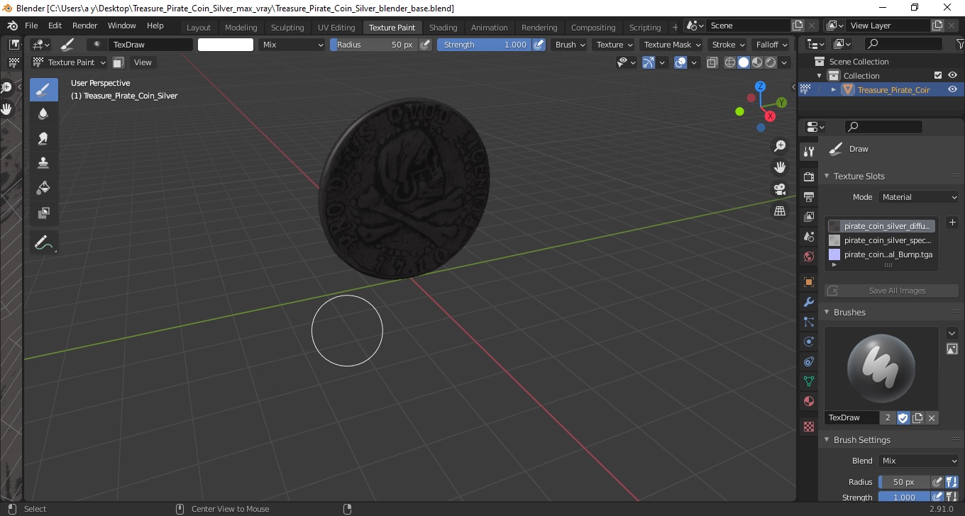 Treasure Pirate Coin Silver 3D