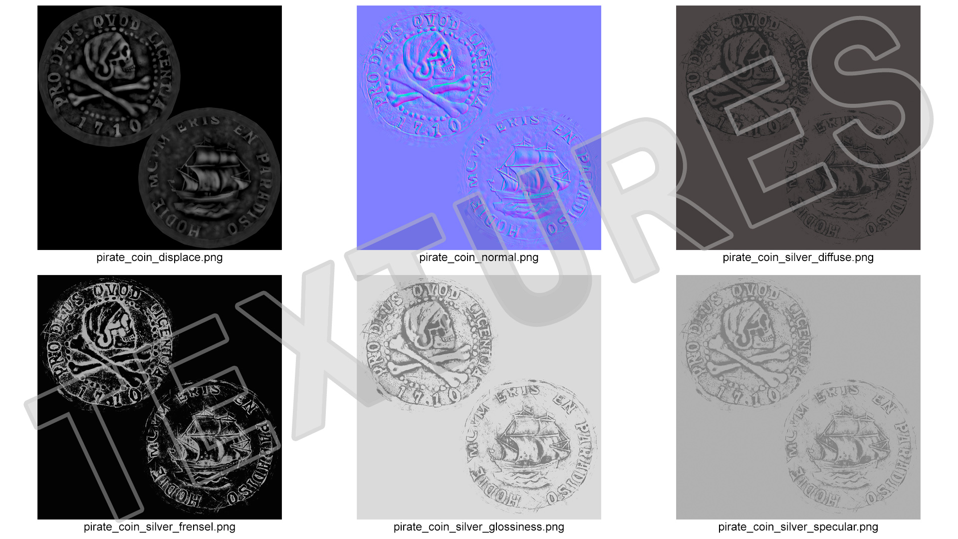 Treasure Pirate Coin Silver 3D