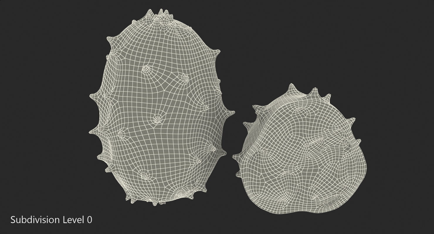 3D African Kiwano Fruit Whole Half