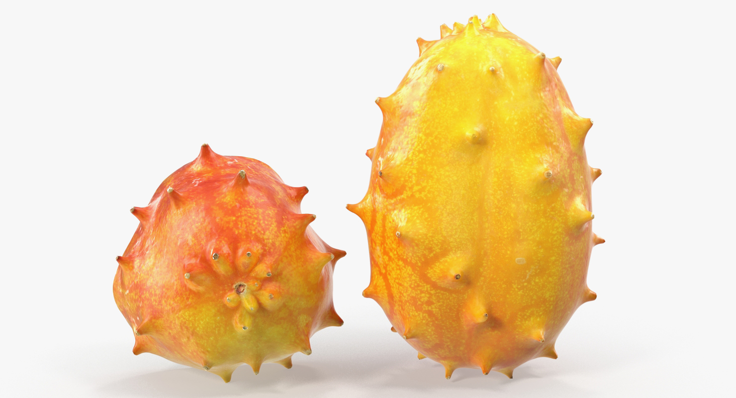 3D African Kiwano Fruit Whole Half
