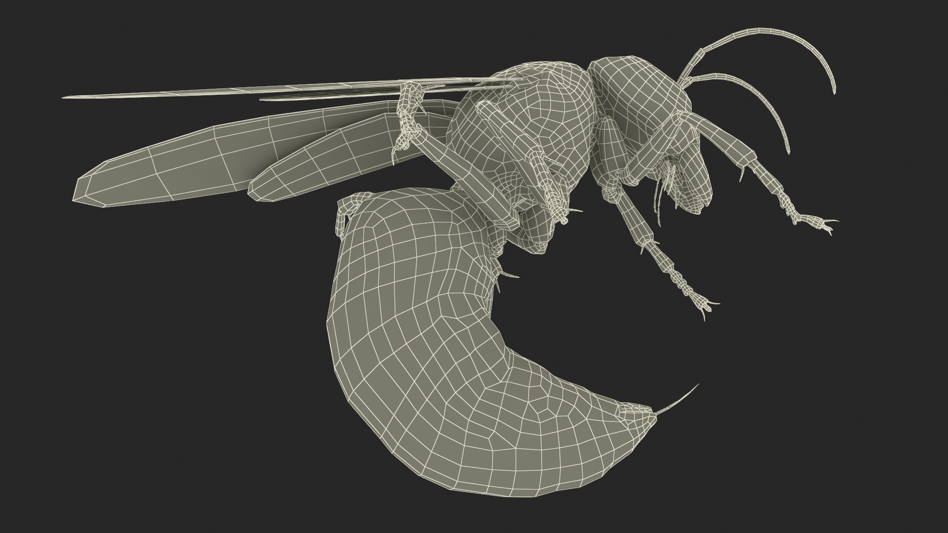 Northern Giant Hornet Fur Attack Pose 3D
