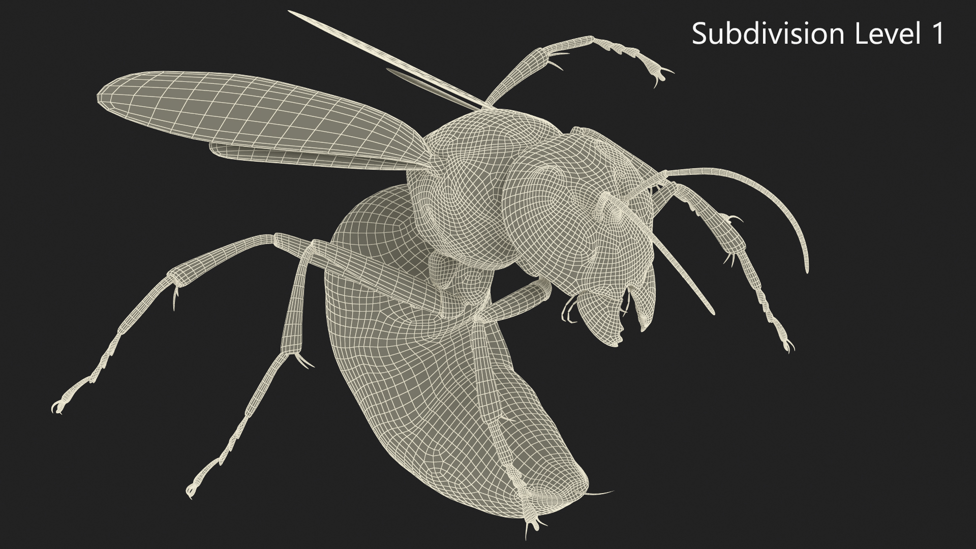 Northern Giant Hornet Fur Attack Pose 3D