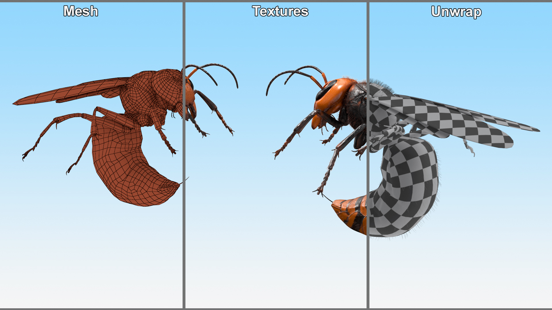 Northern Giant Hornet Fur Attack Pose 3D