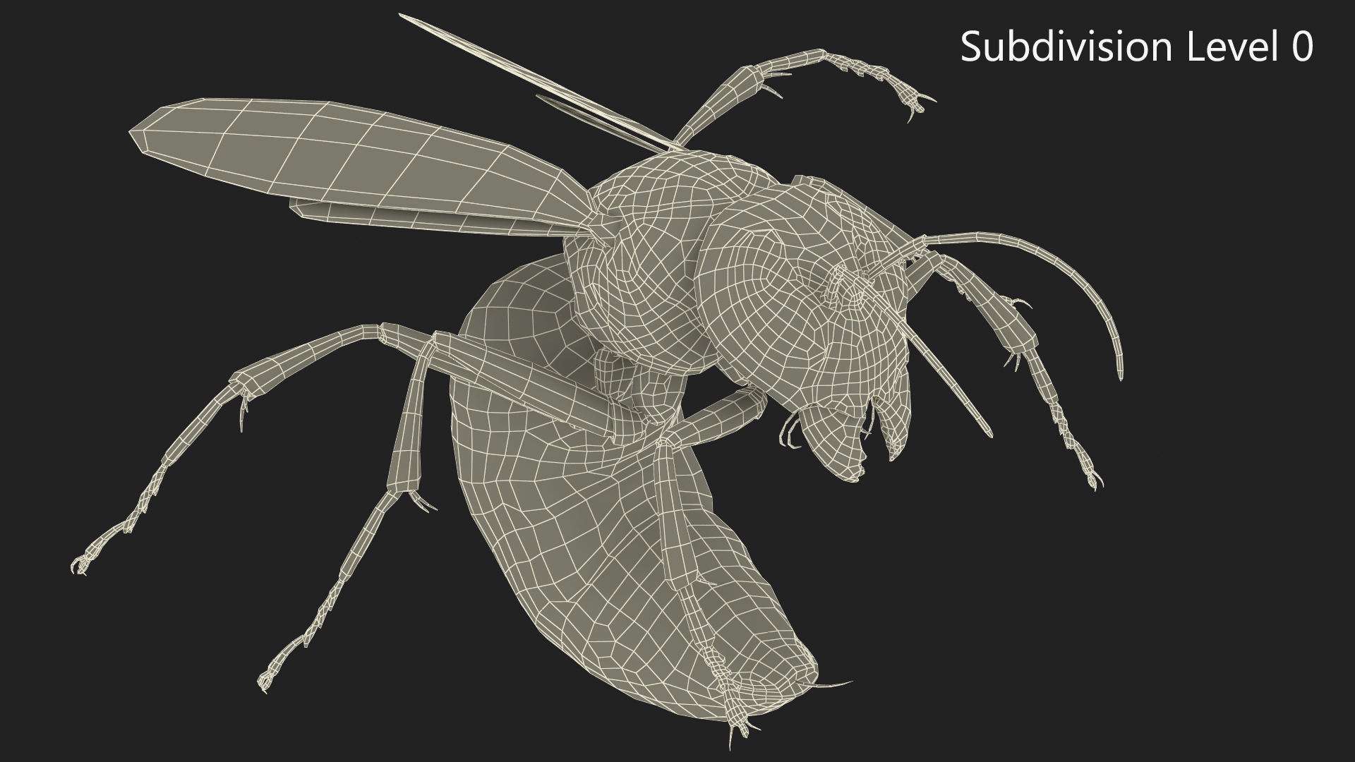 Northern Giant Hornet Fur Attack Pose 3D