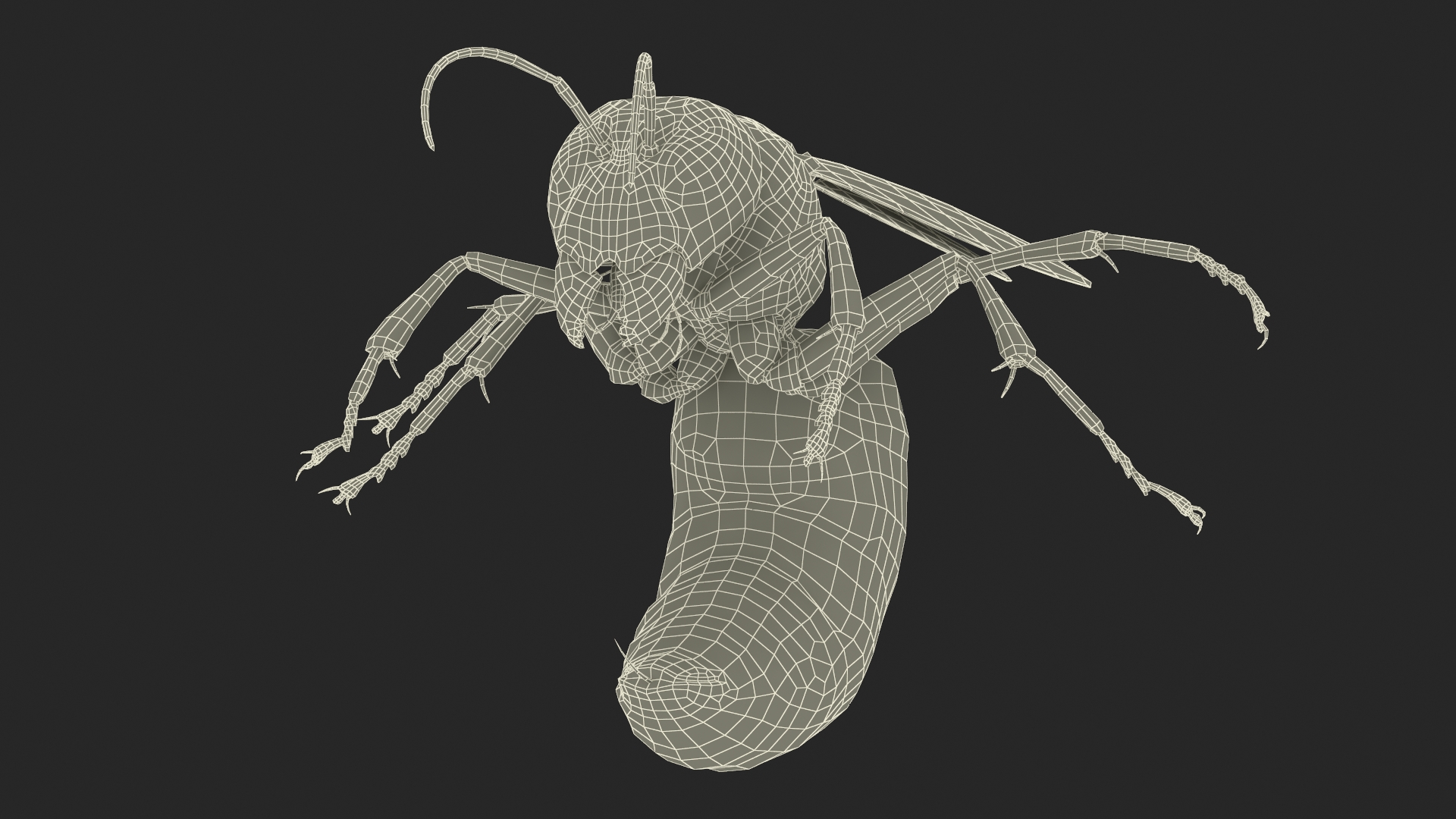 Northern Giant Hornet Fur Attack Pose 3D