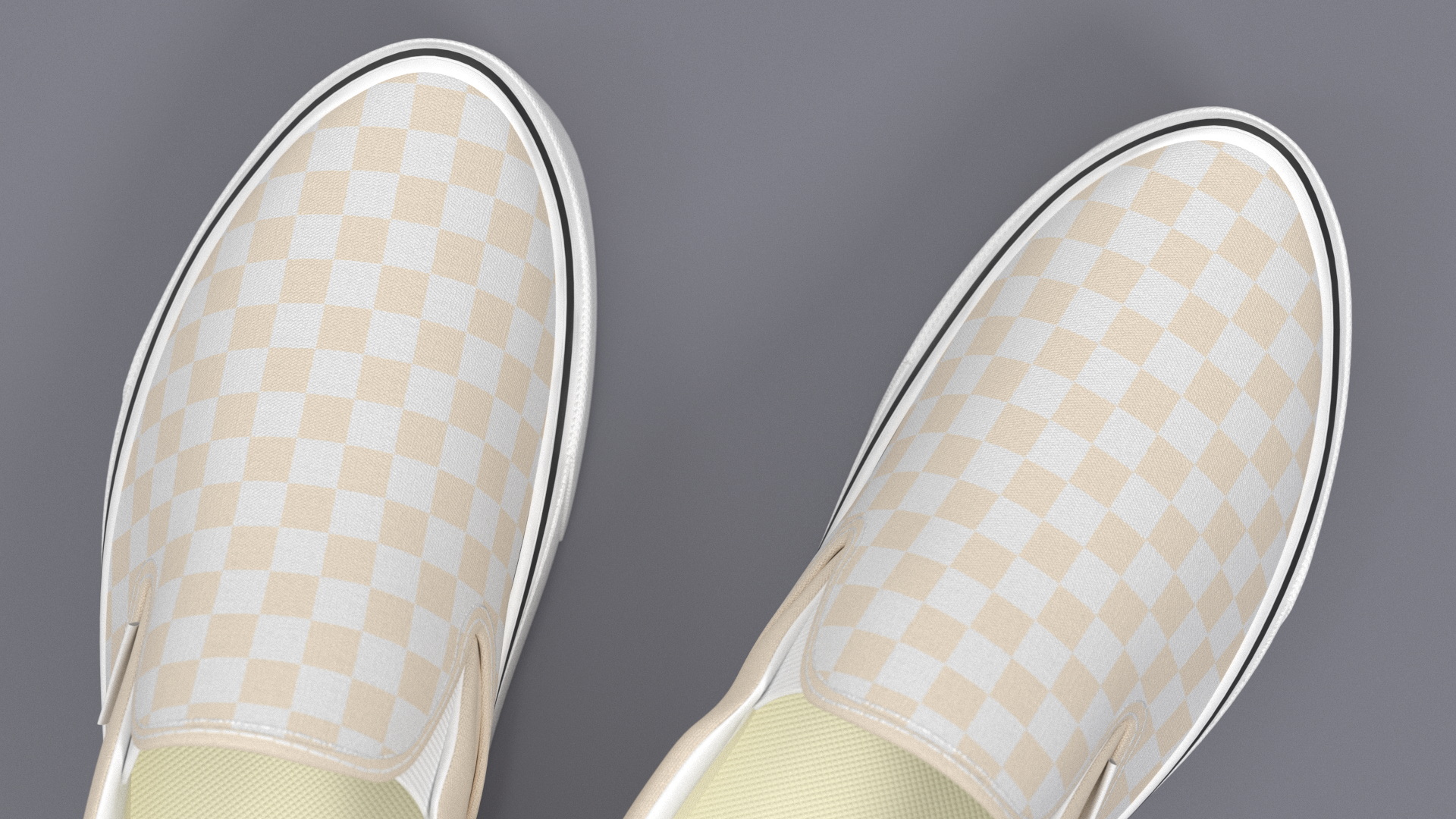 3D model Slip-On Canvas Shoes