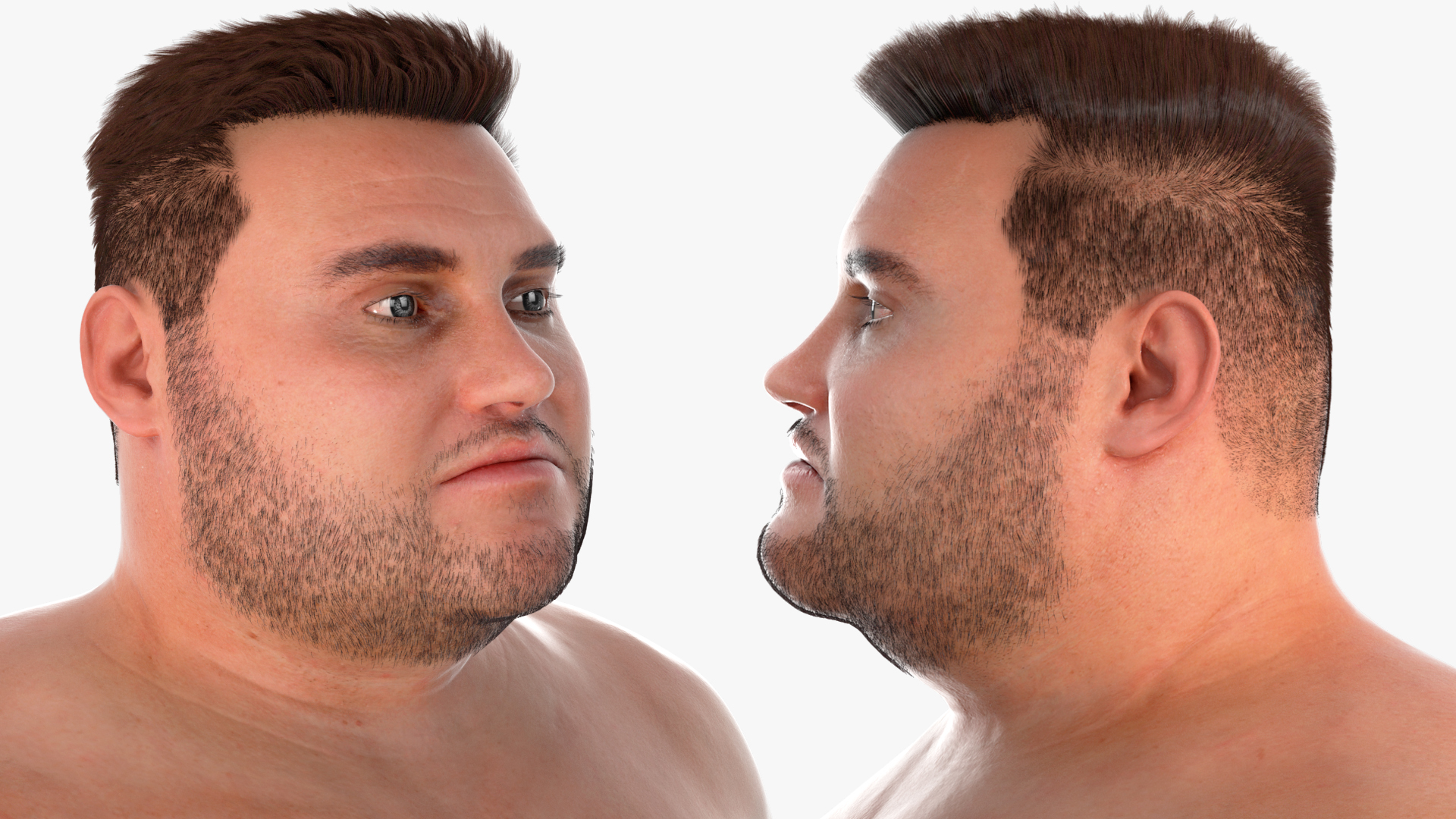 Naked Fat Man Fur 3D