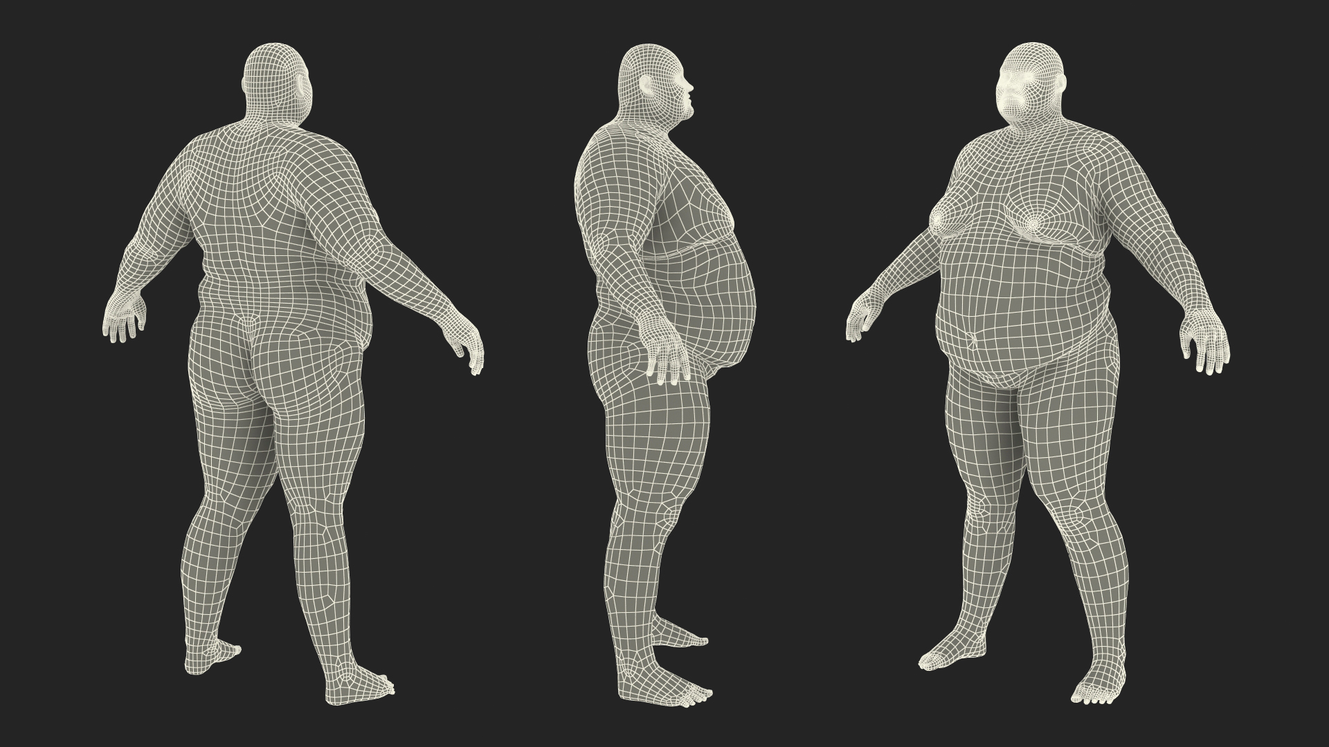 Naked Fat Man Fur 3D