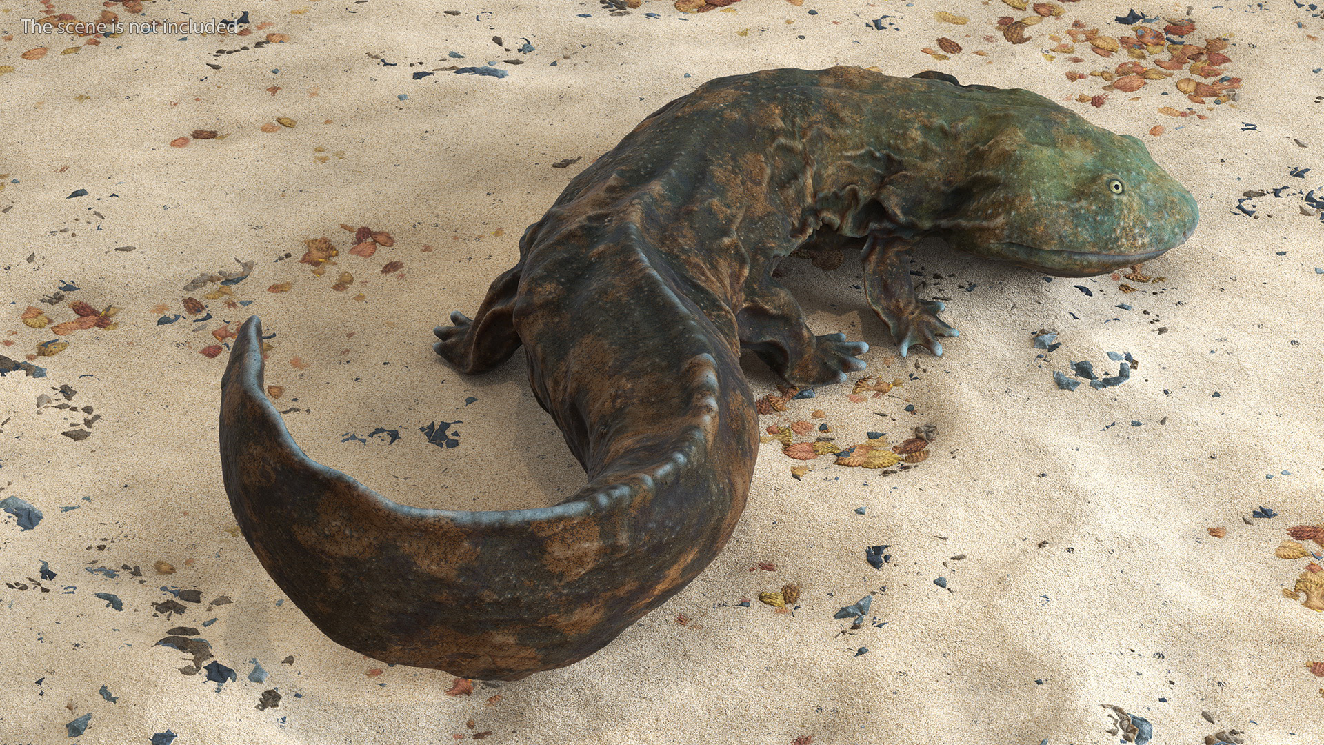 3D Aquatic Salamander Light Rigged