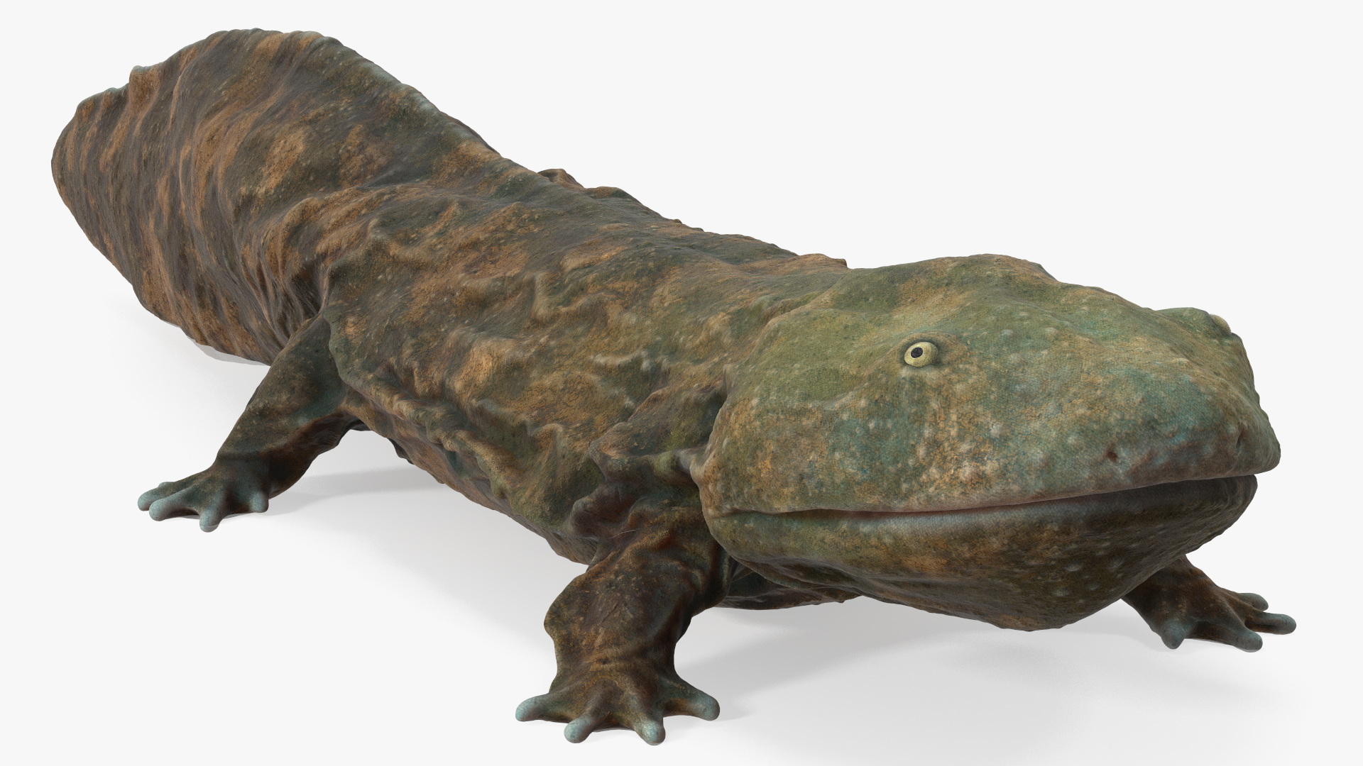 3D Aquatic Salamander Light Rigged