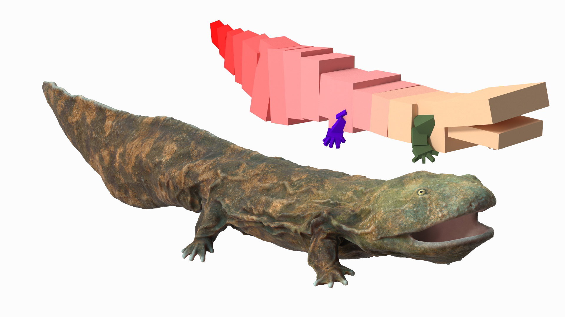3D Aquatic Salamander Light Rigged